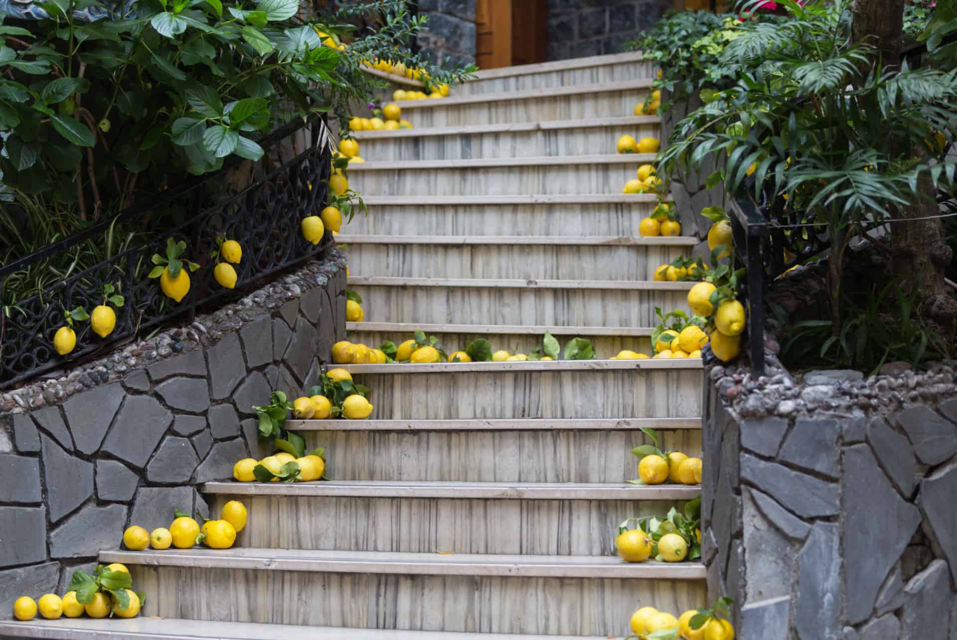 citrons monterosso