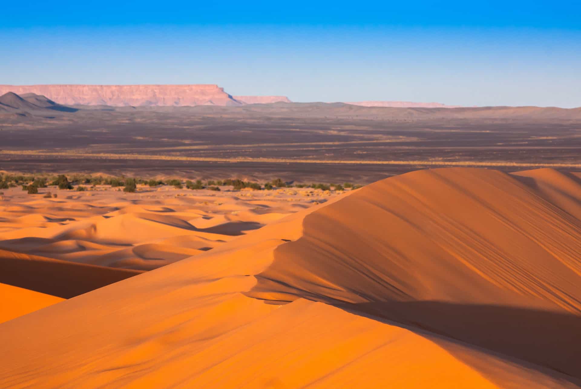 desert merzouga