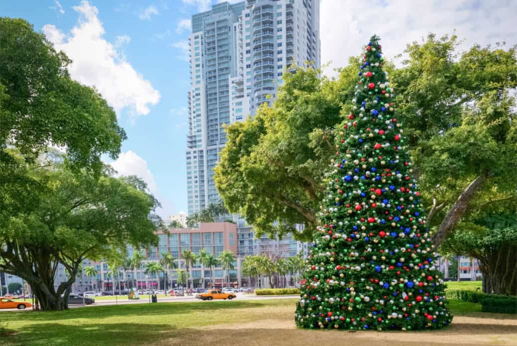 floride sapin de noel