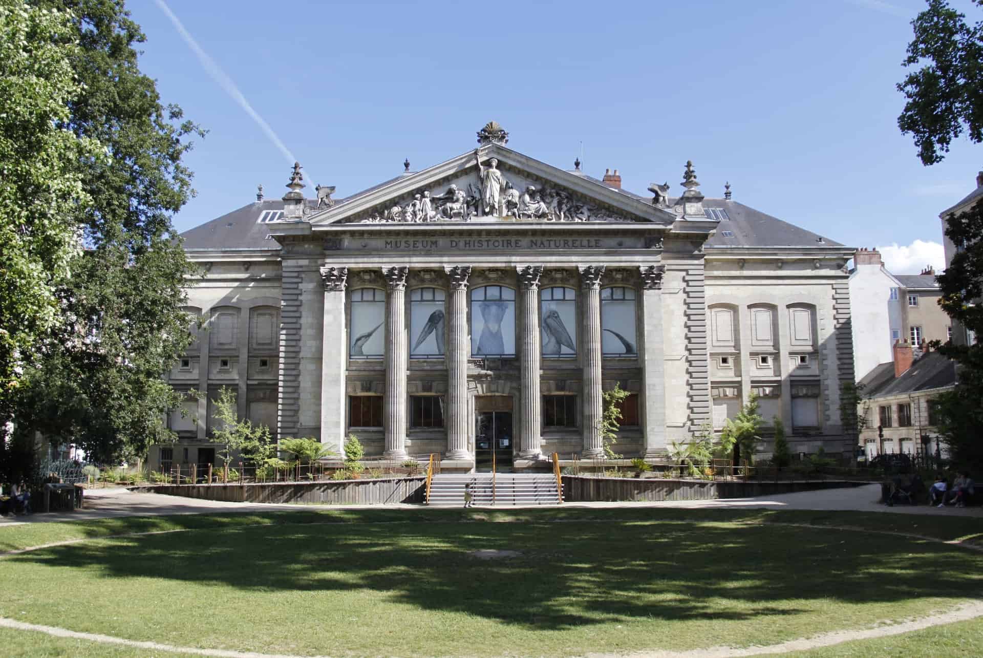 musee histoire naturelle nantes