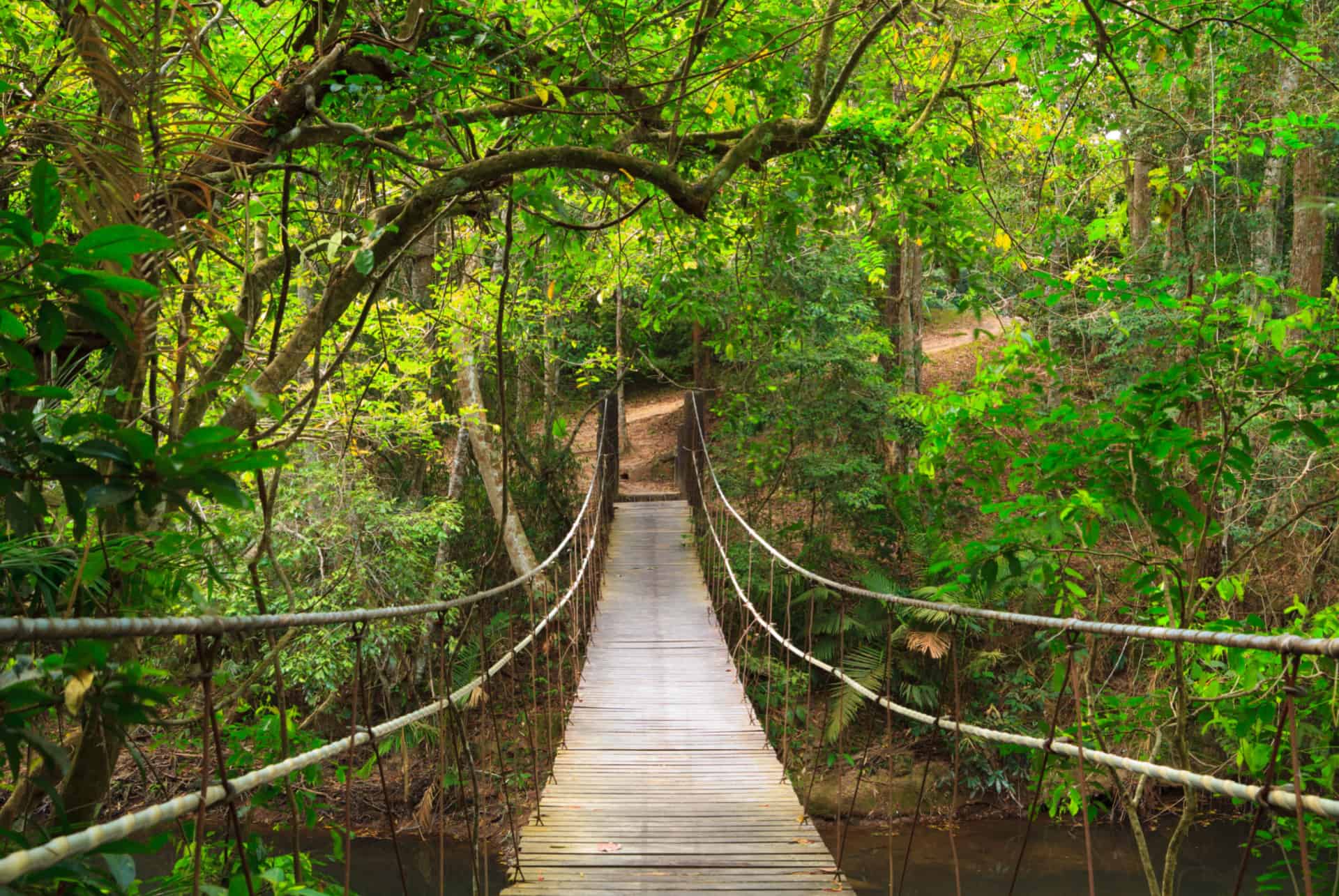 que faire en thailande parc khao yai