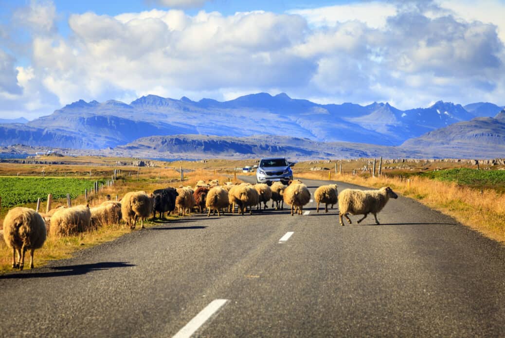 ring road islande