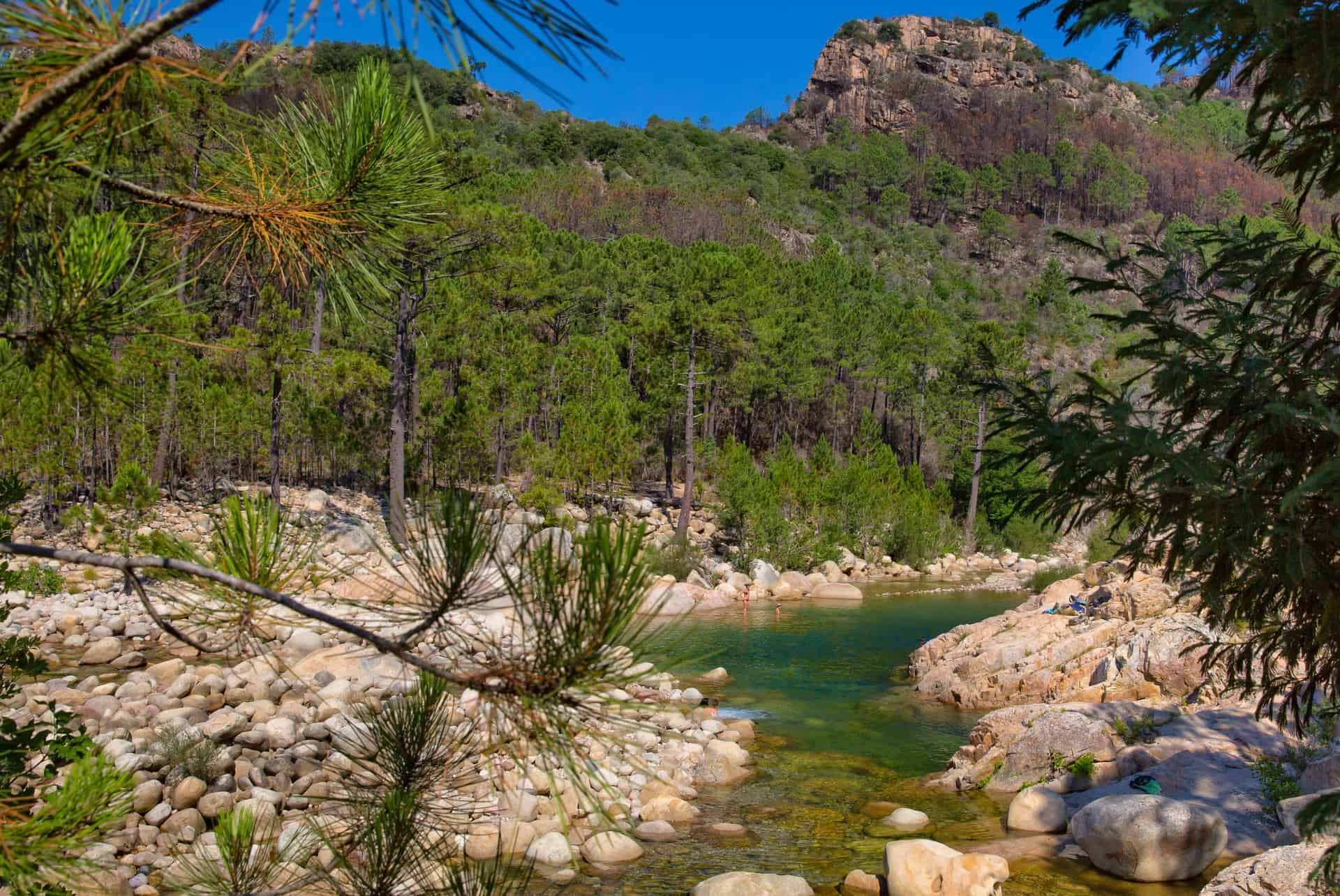 riviere solenzara piscines naturelles corse