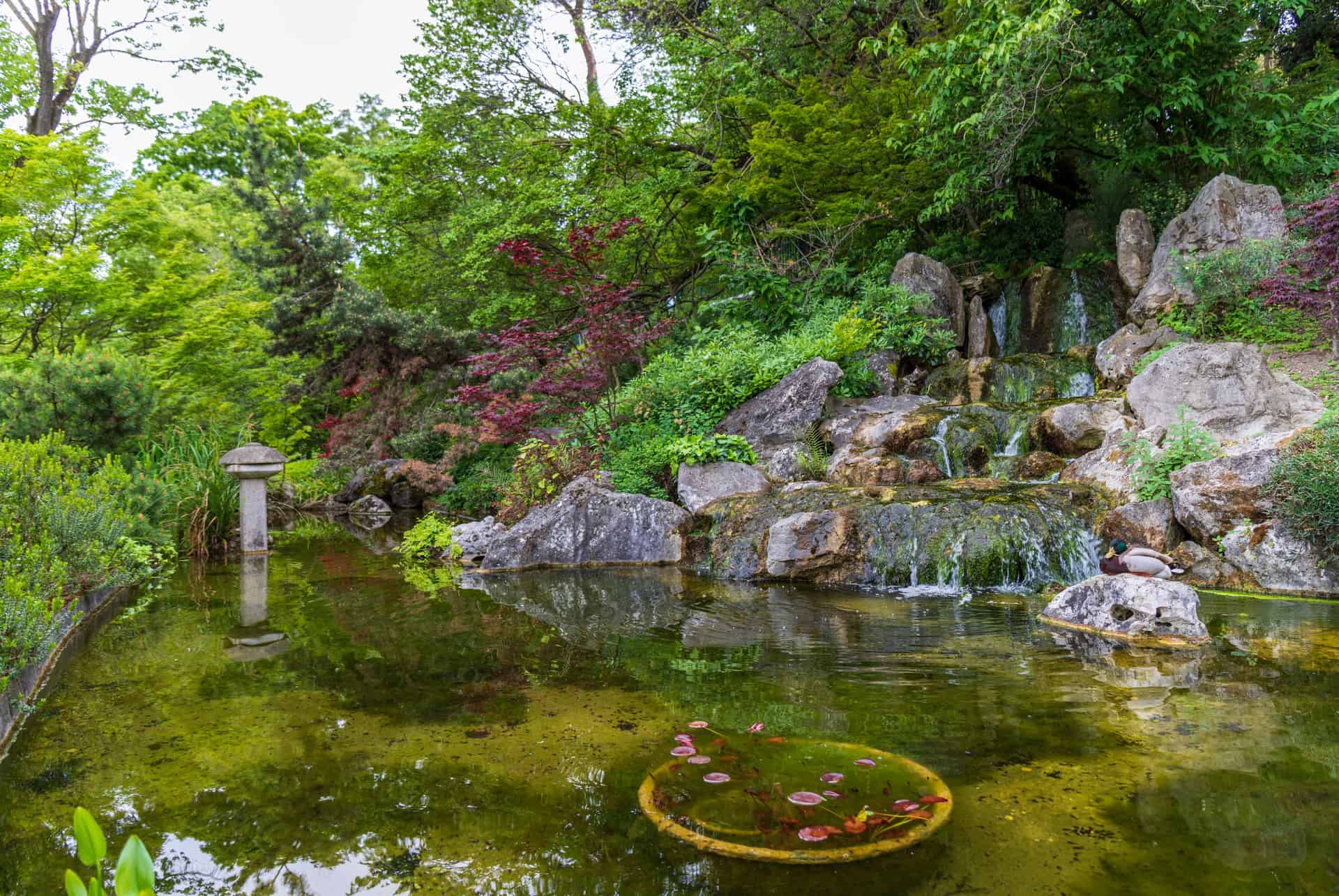 jardin botanique automne