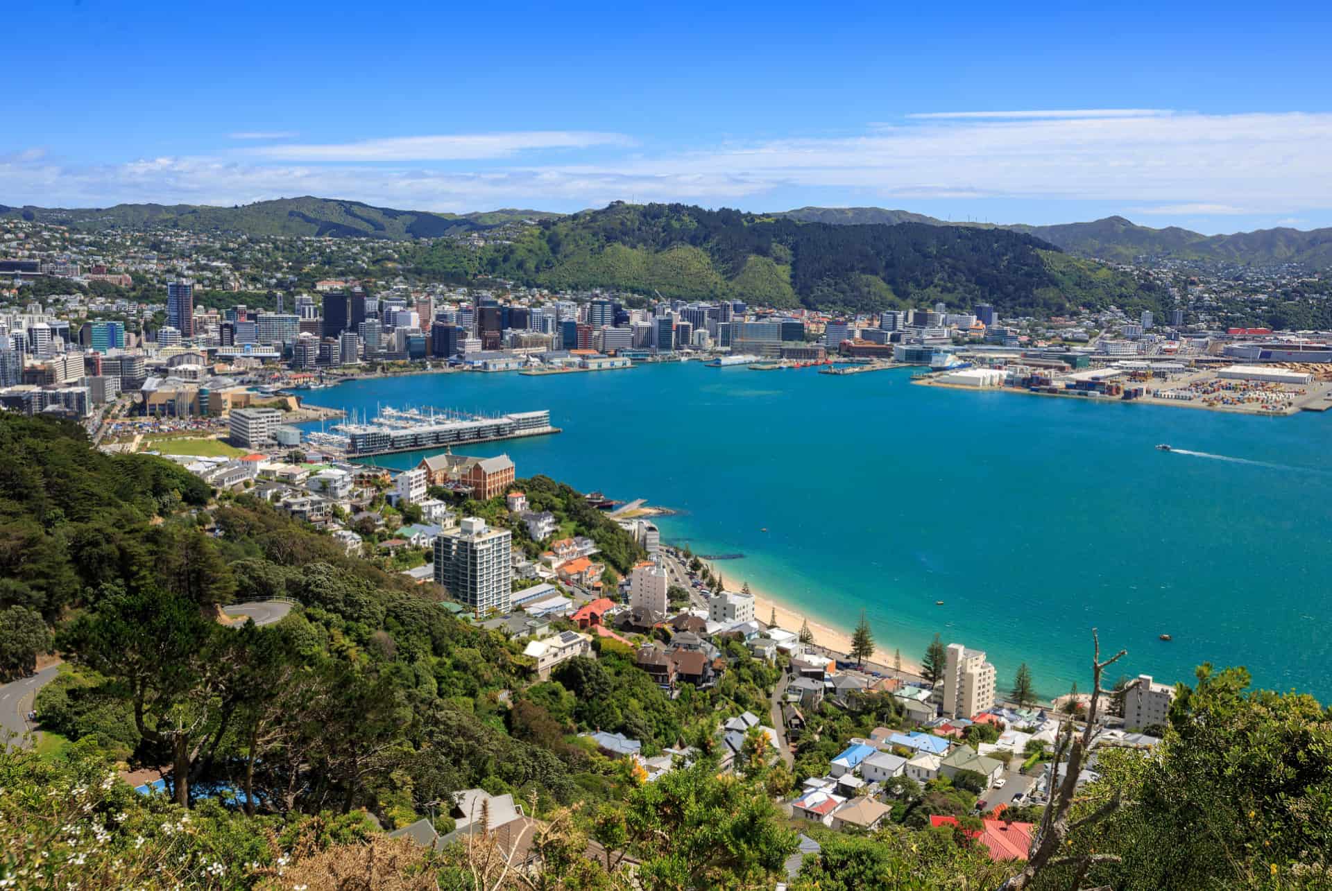 road trip en nouvelle zelande wellington