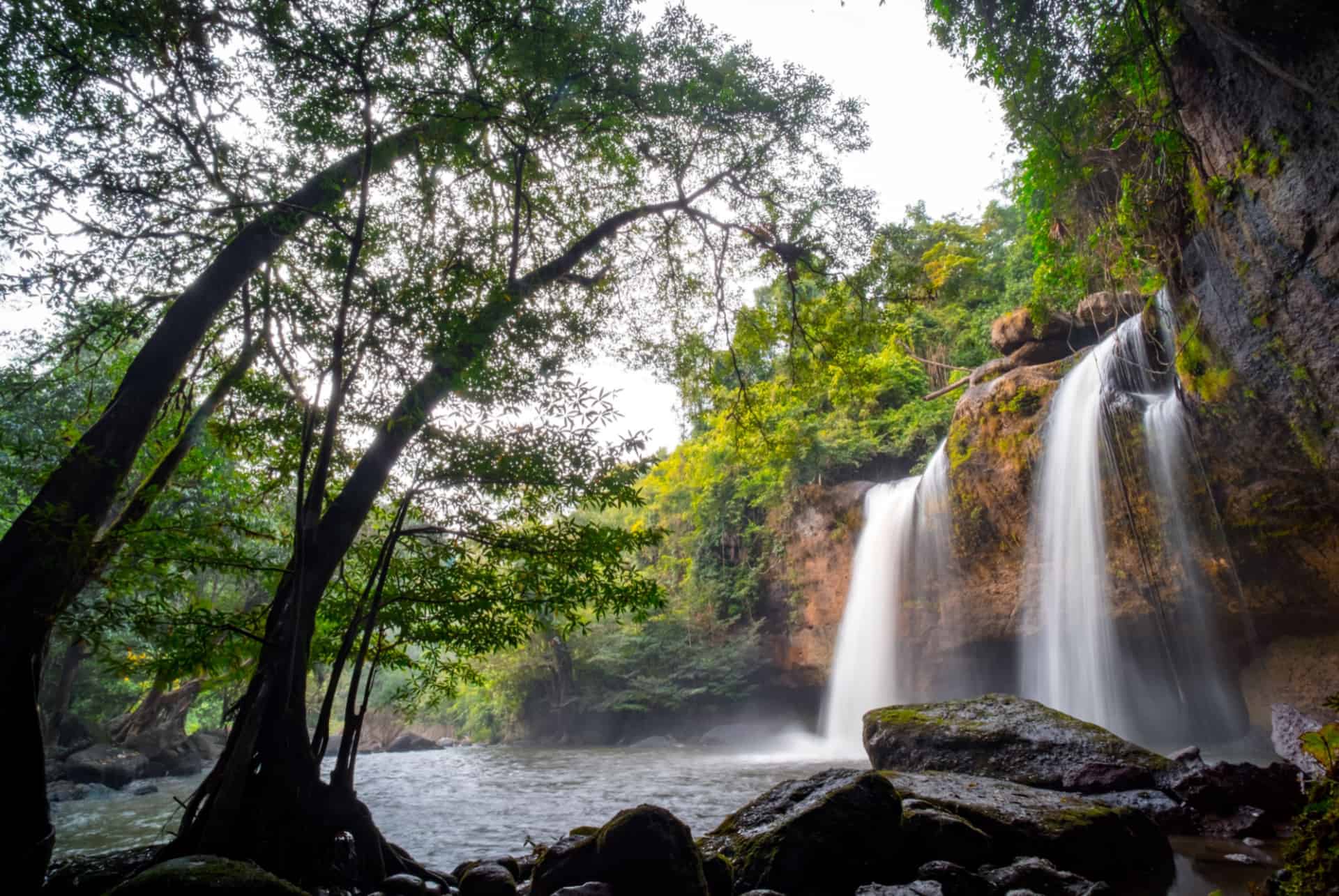 parc khao yai