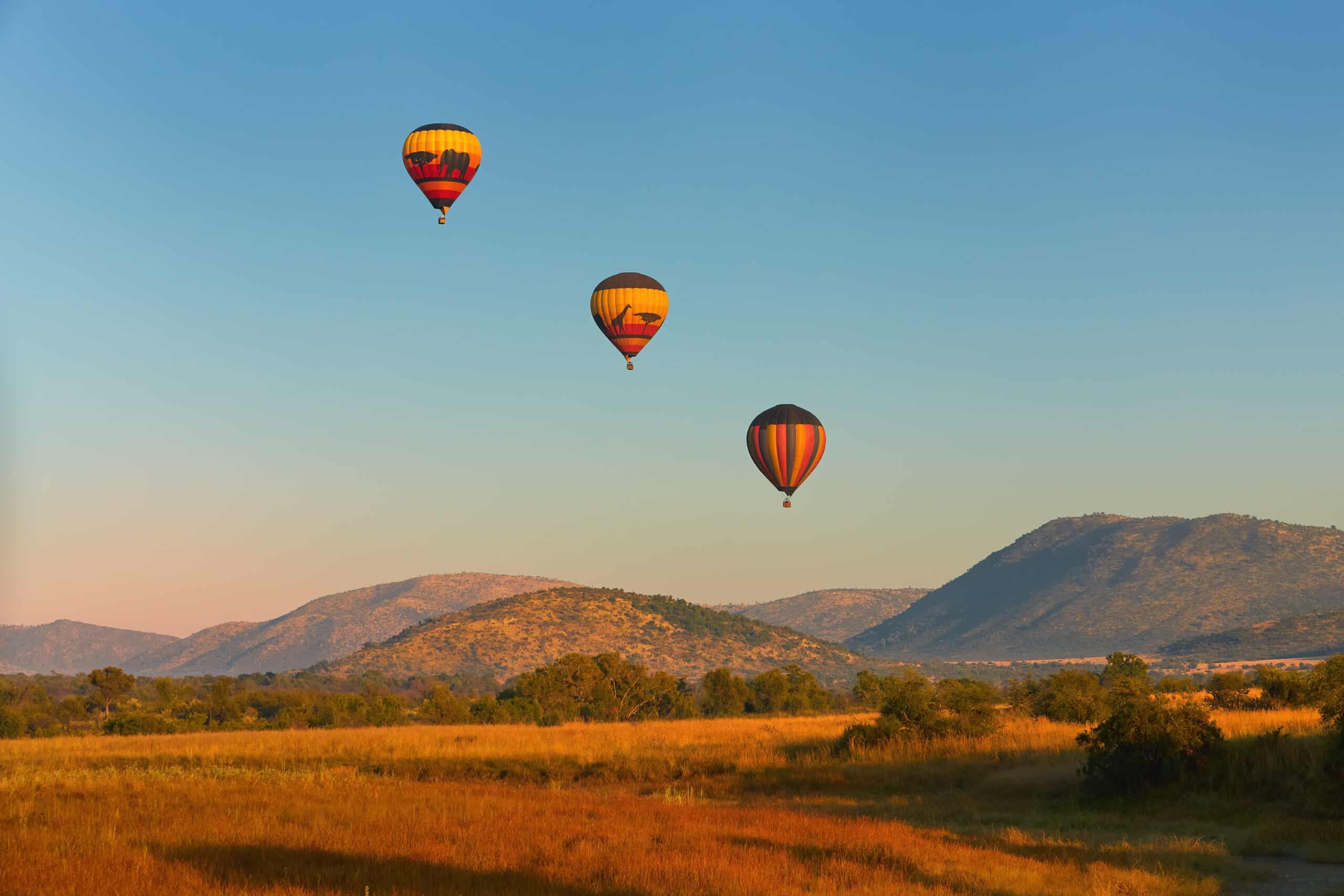 que faire en afrique du sud pilanesberg