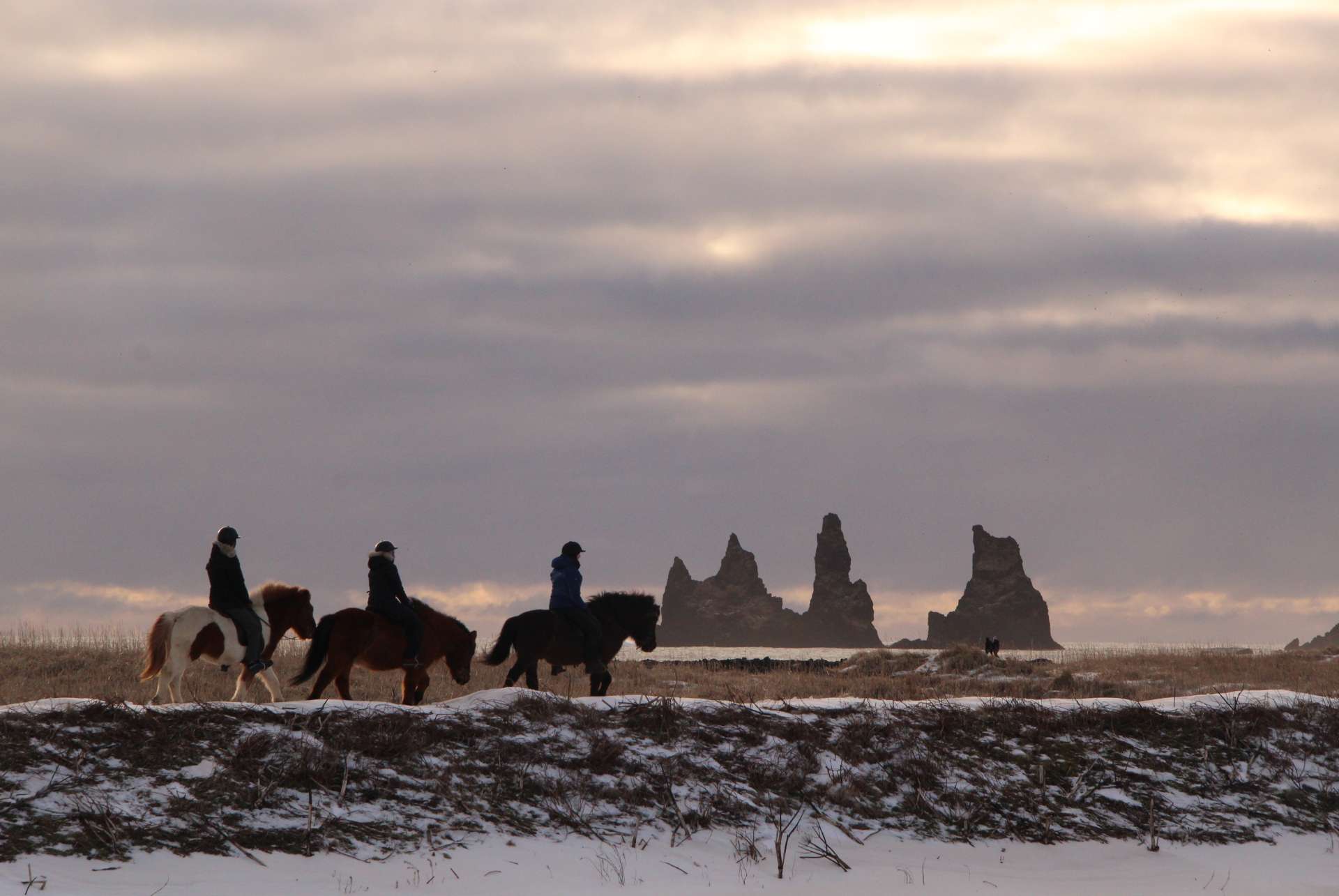 balade a cheval islande fevrier