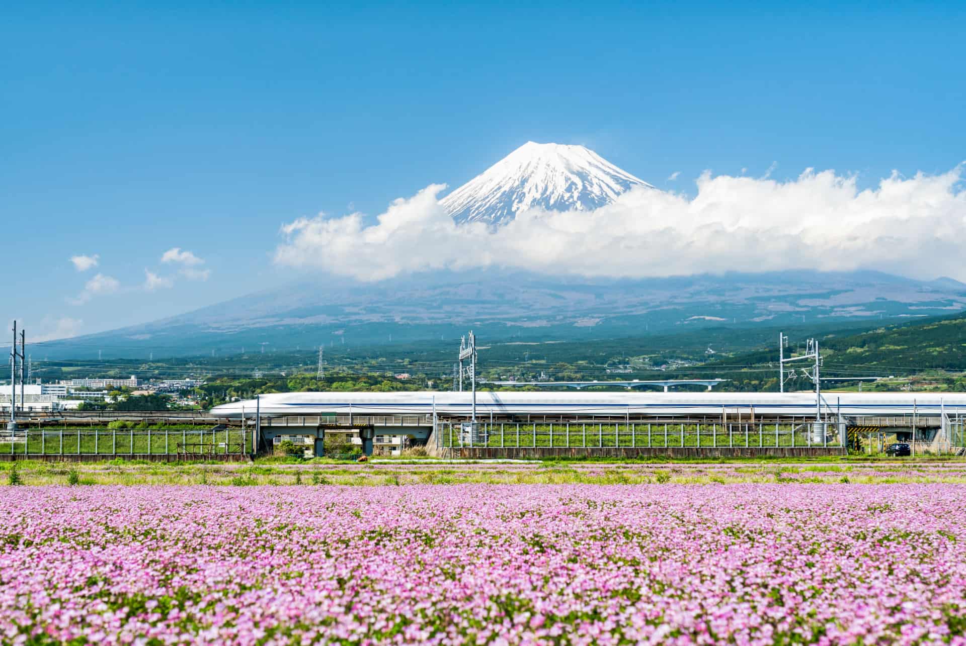 bullet train japon