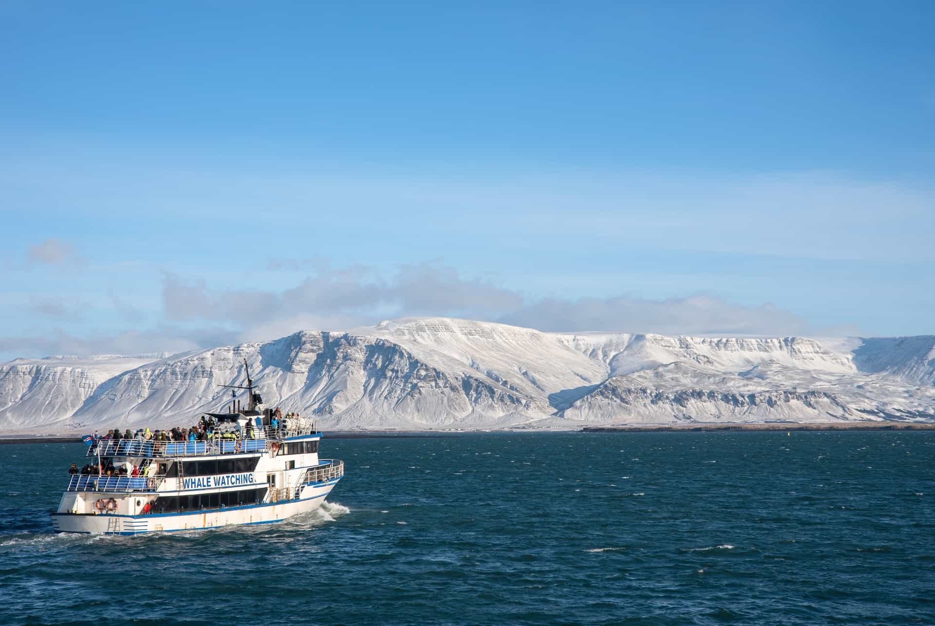 croisiere en bateau islande