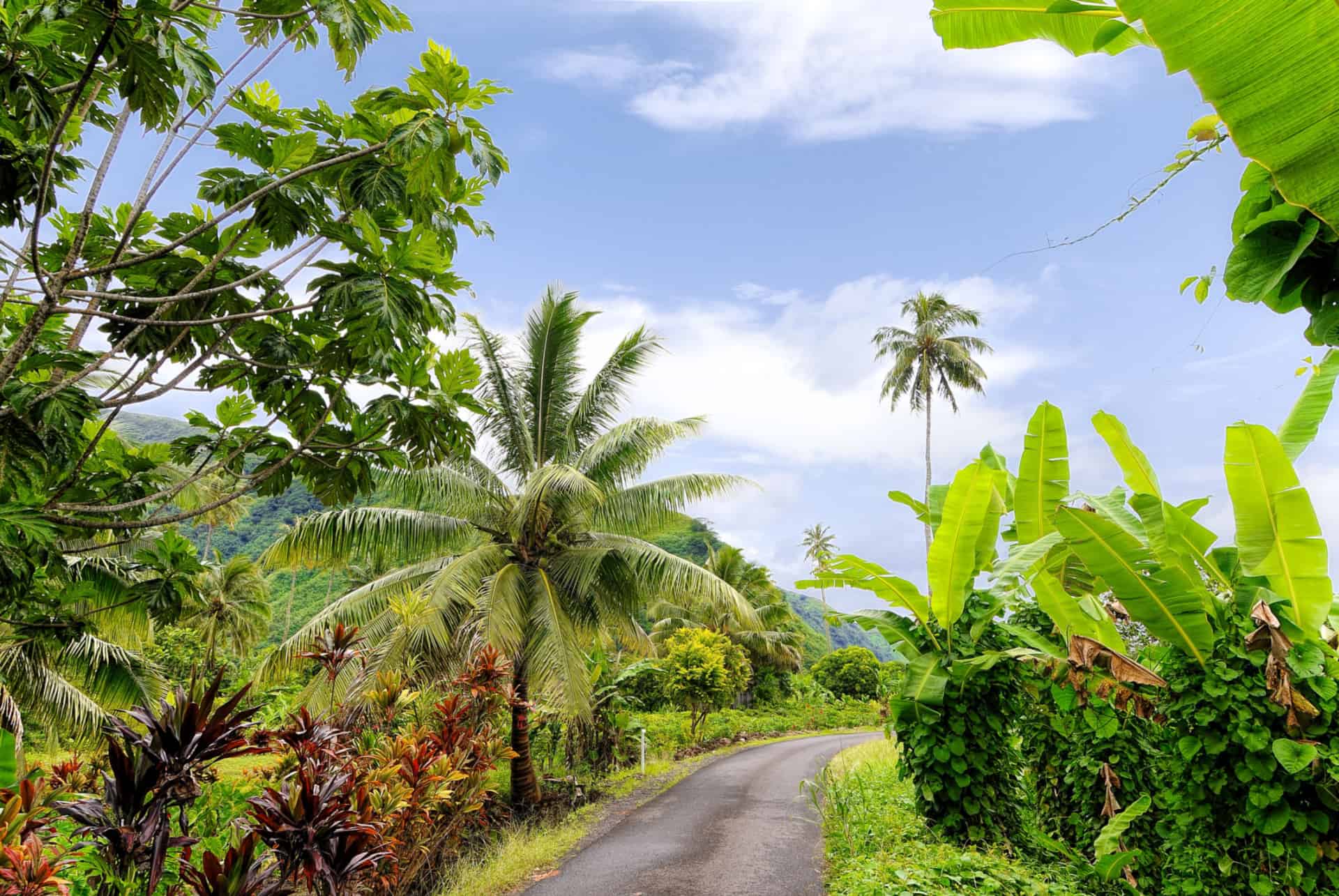 excursion a tahiti