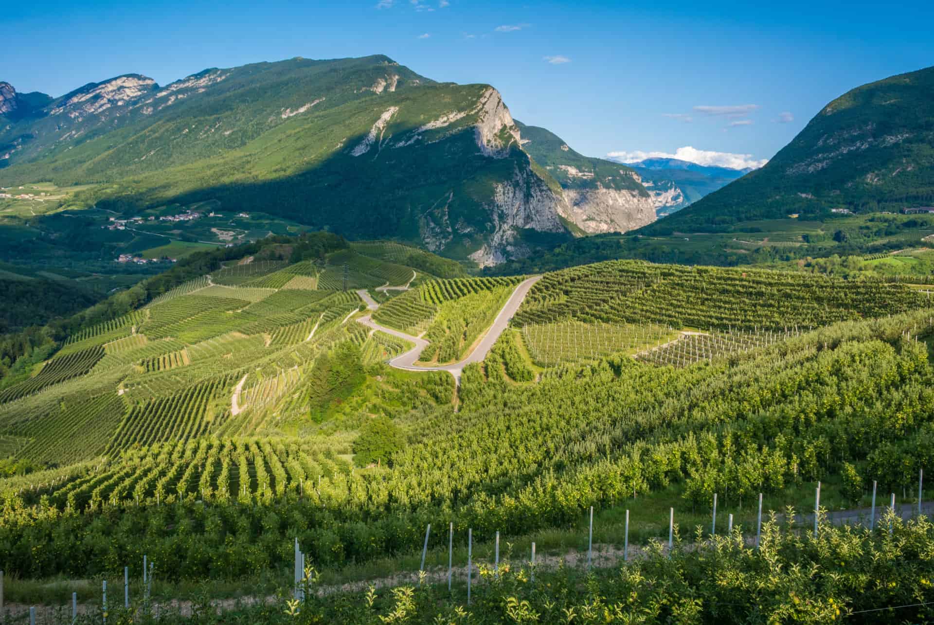 paysage vignobles et collines