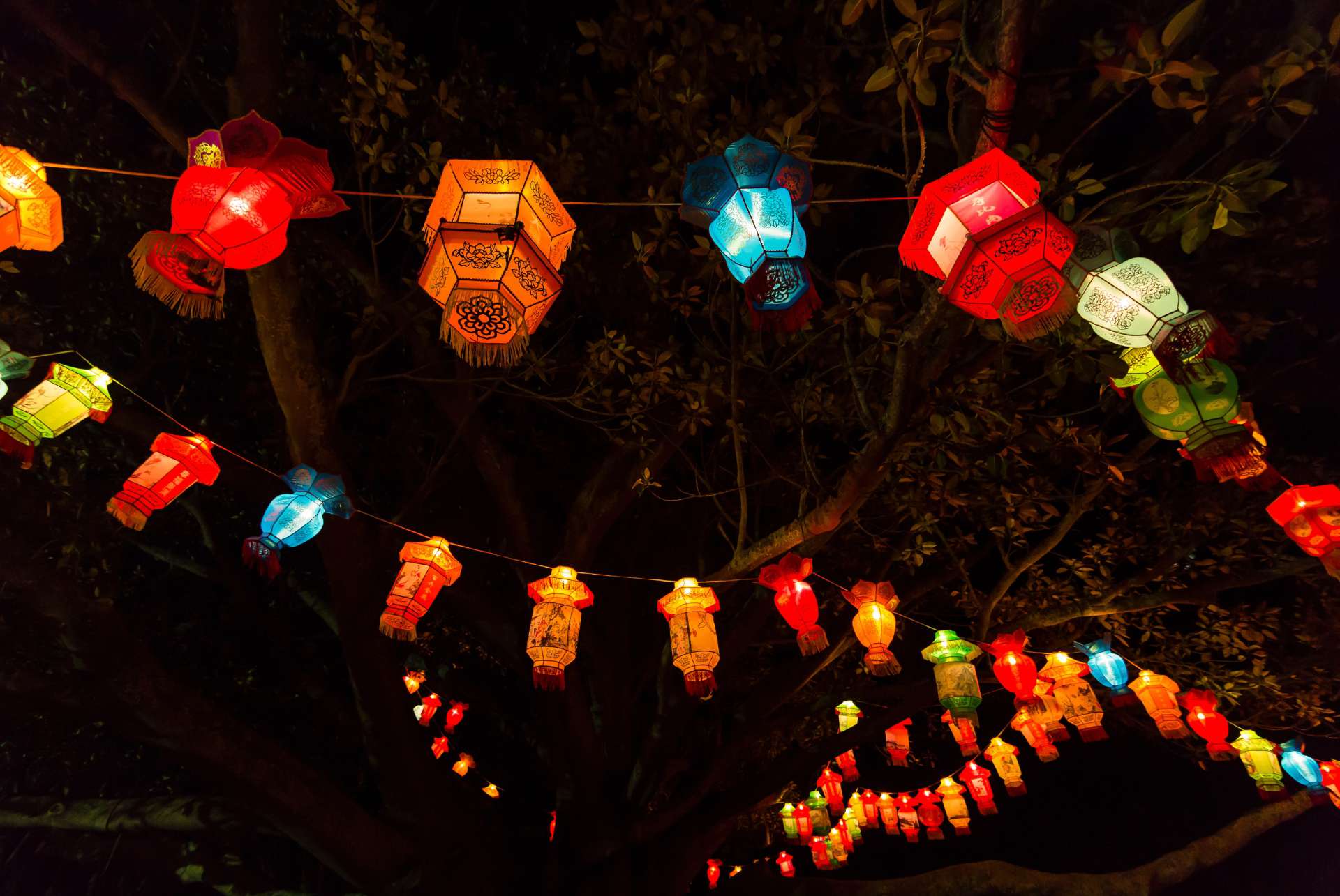 nouvelle zelande lantern festival