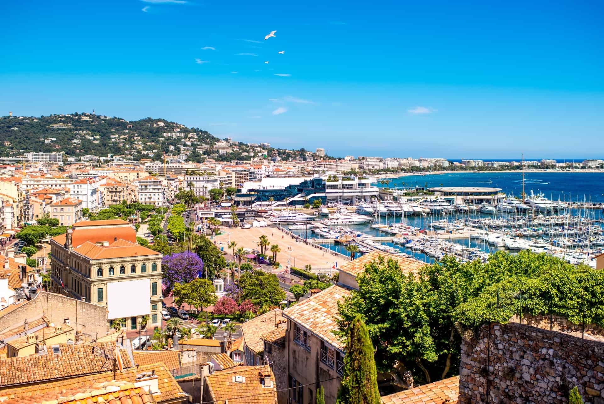 que faire cannes cote azur