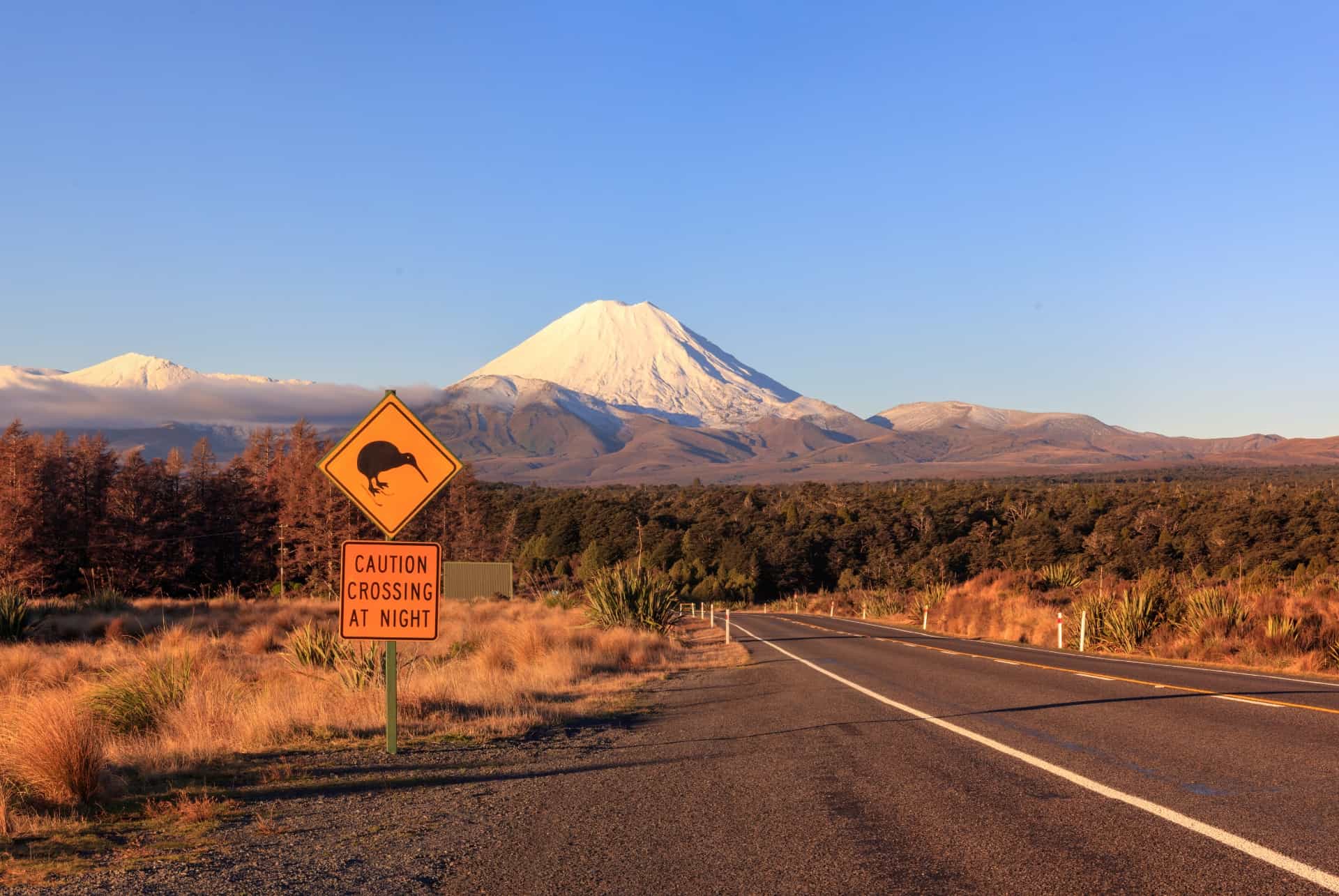 road trip nouvelle zelande