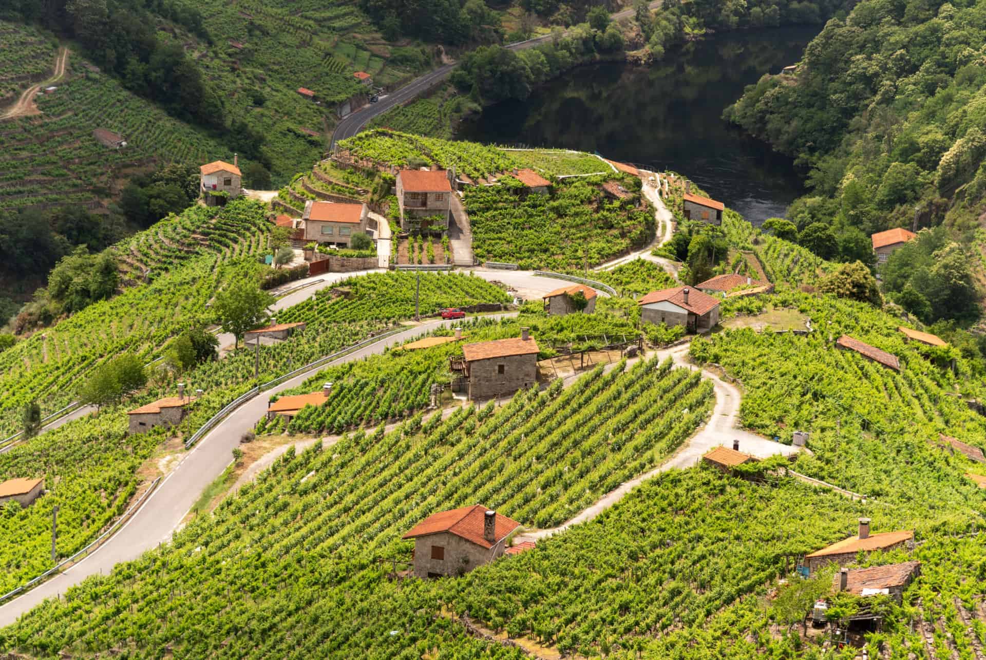 ou aller en espagne vignobles galice