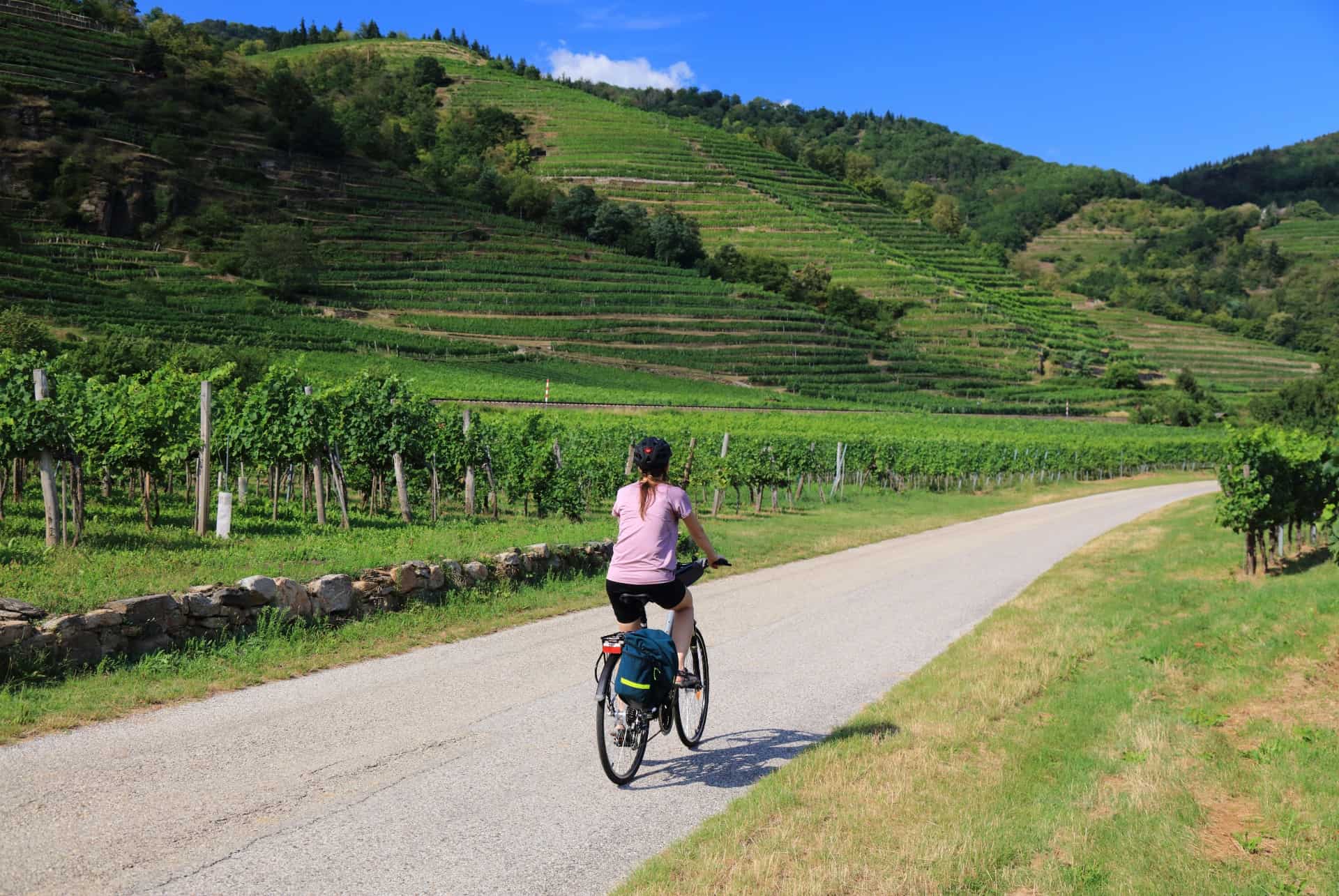 balade en velo dans les vignobles