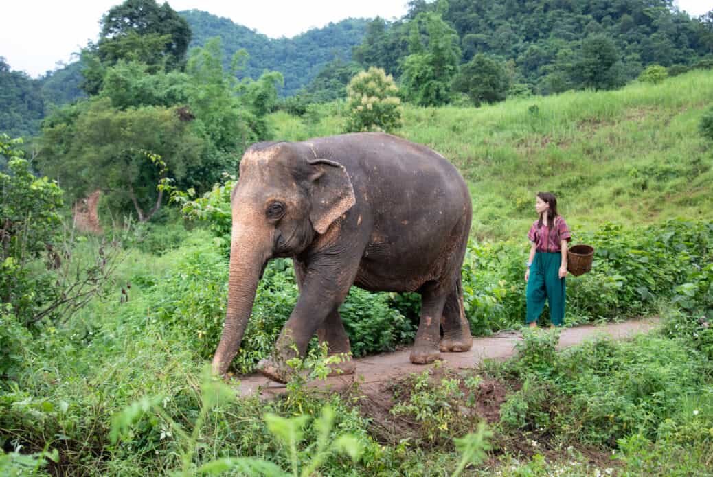 chiang mai aller thailande