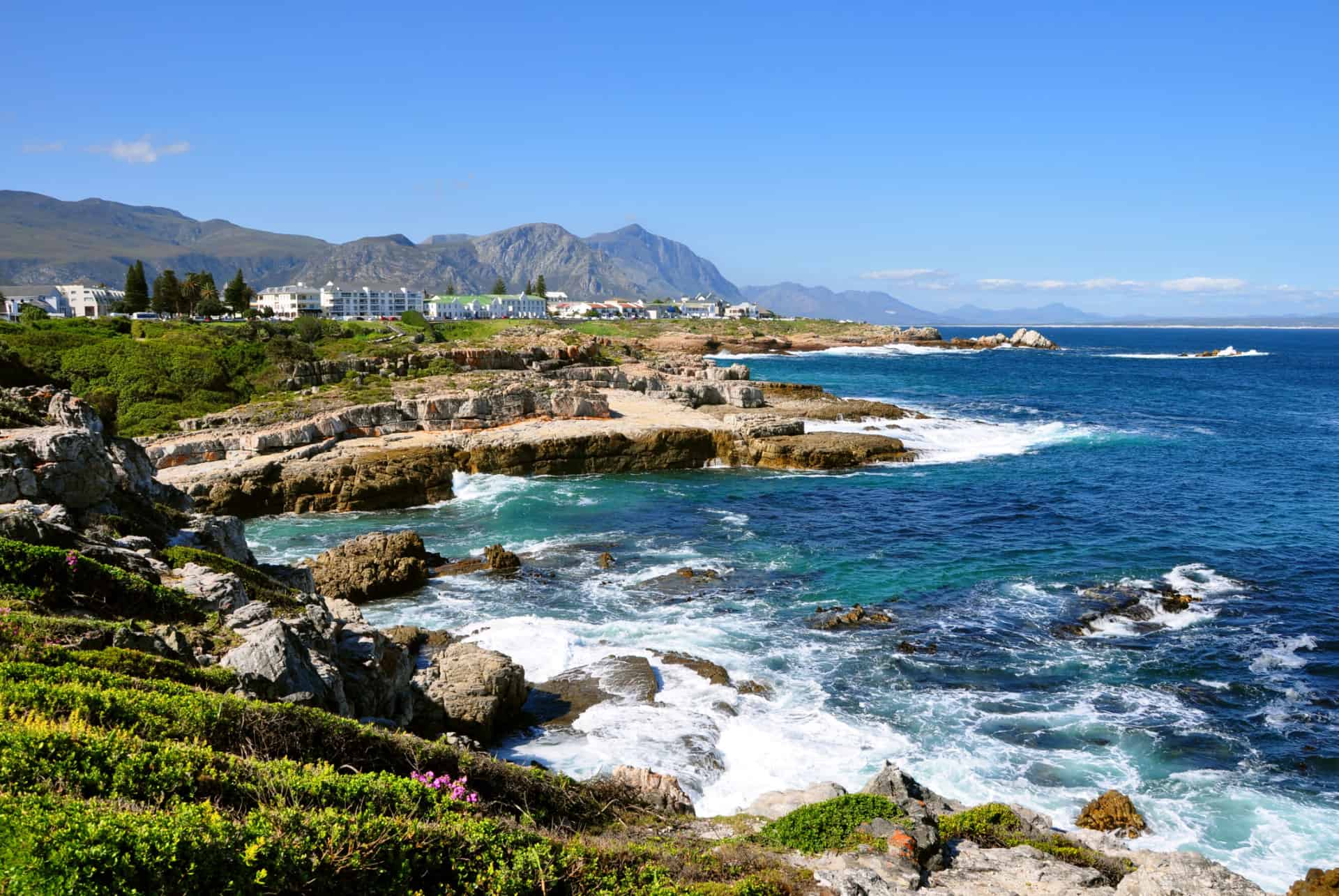 cote hermanus