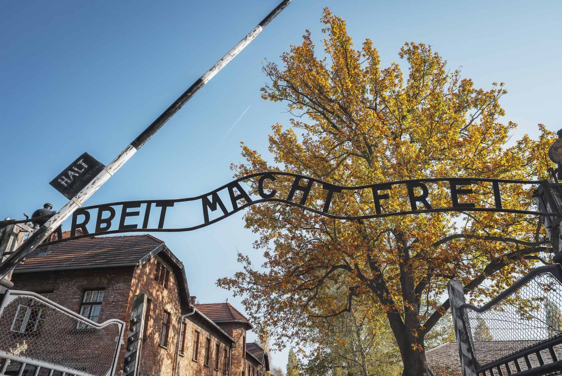 decouvrir cracovie en un weekend auschwitz