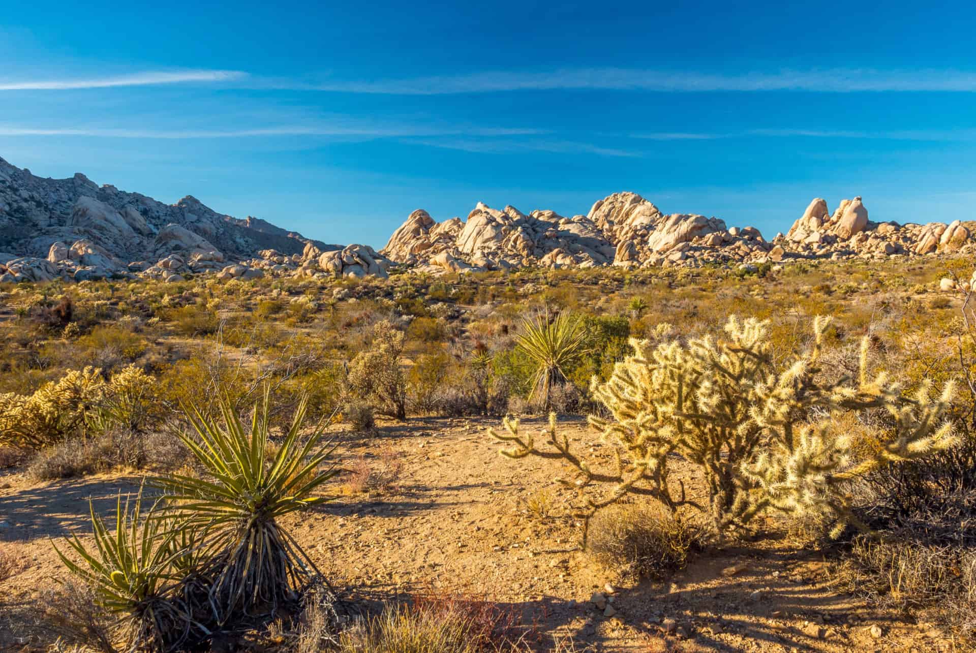 desert mojave quand partir las vegas