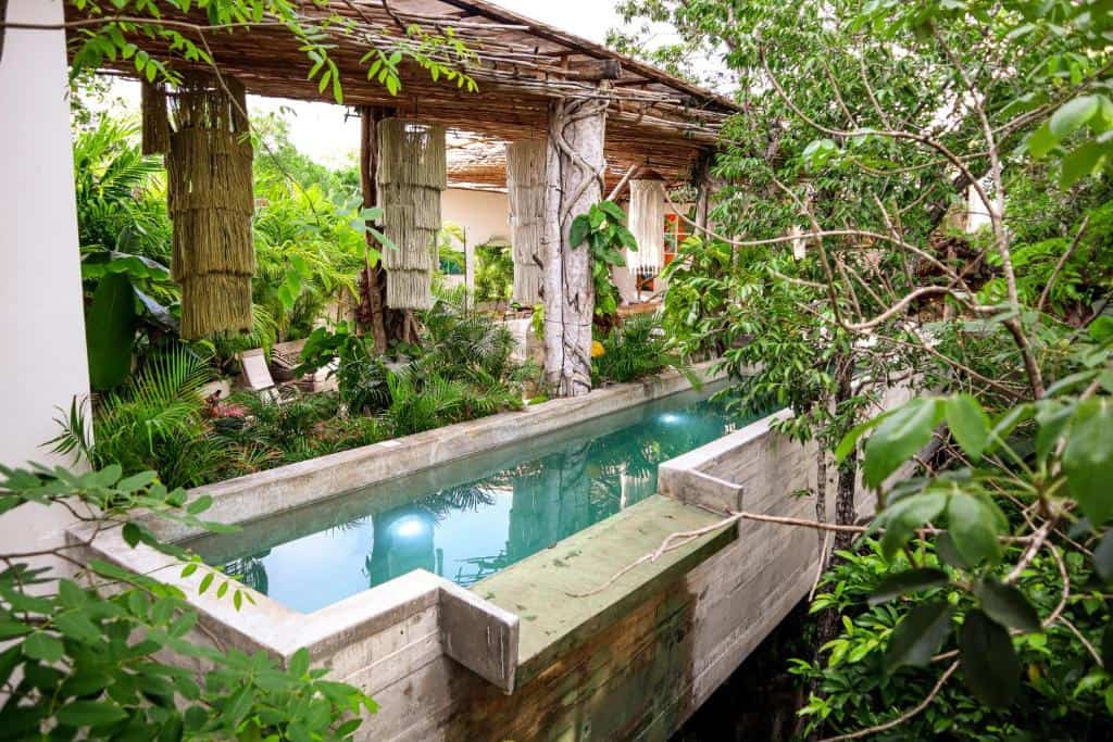 orchid house dormir tulum