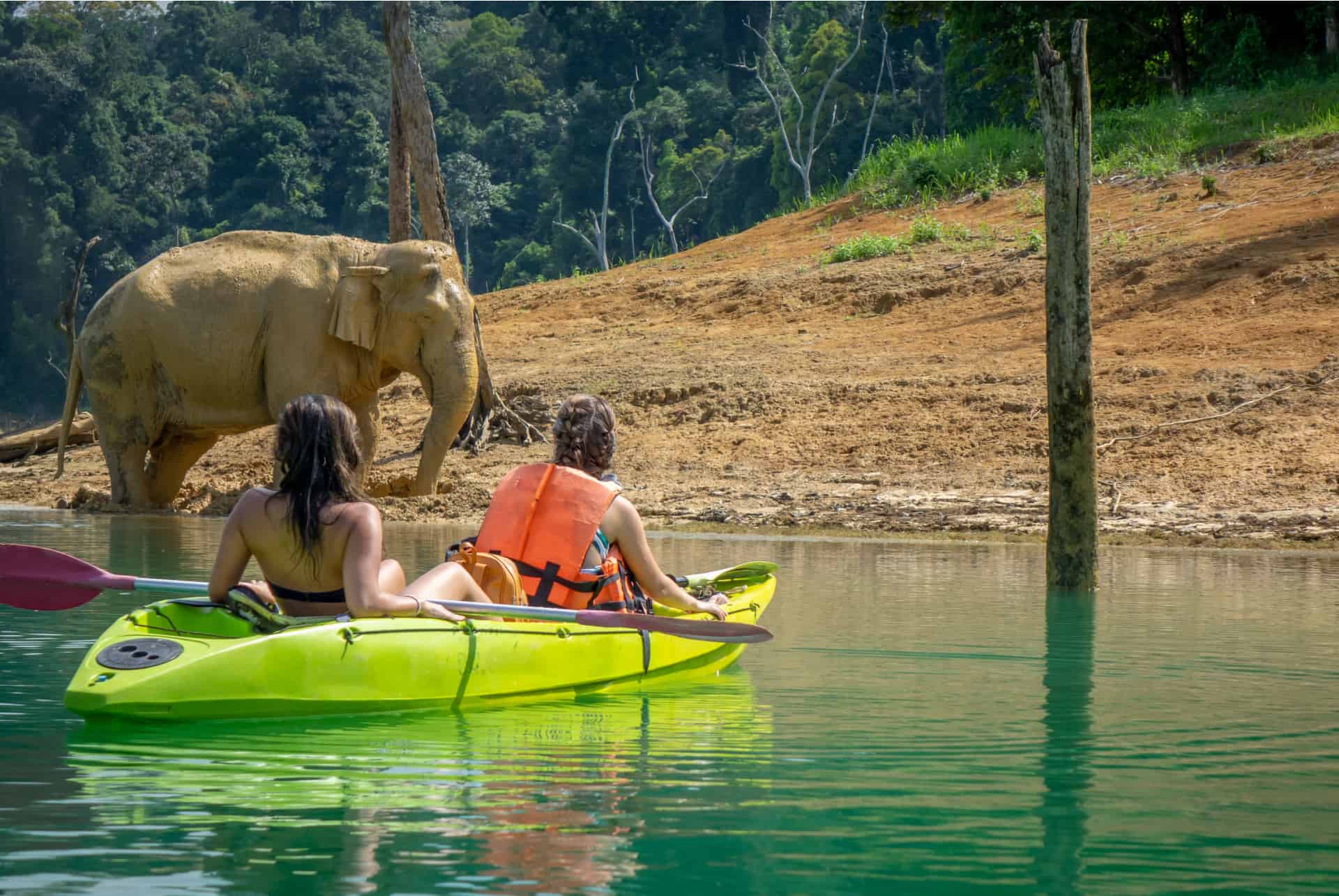 ou aller thailande kaho sok elephant
