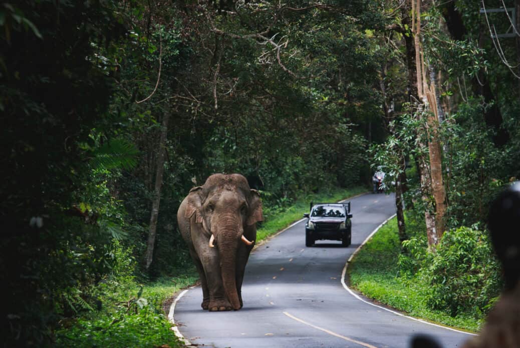 parc national khao yai