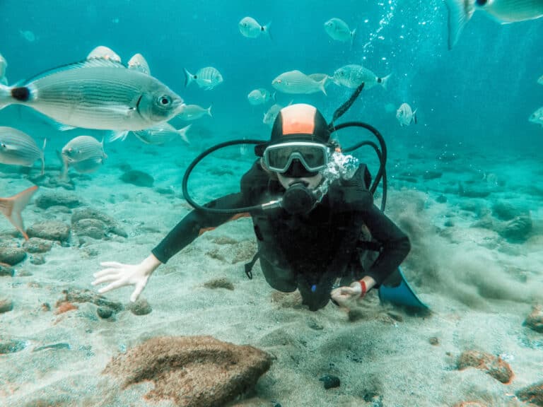 Plongée sous-marine pour débutants