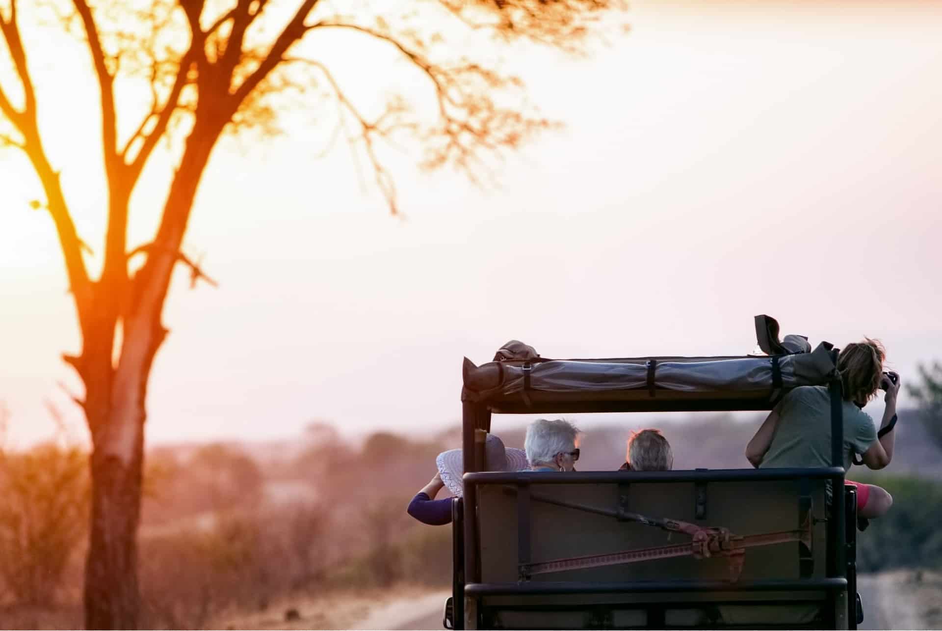 safari que faire afrique du sud