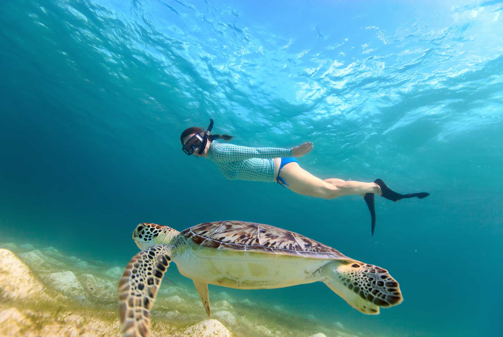 snorkeling activites nautiques martinique