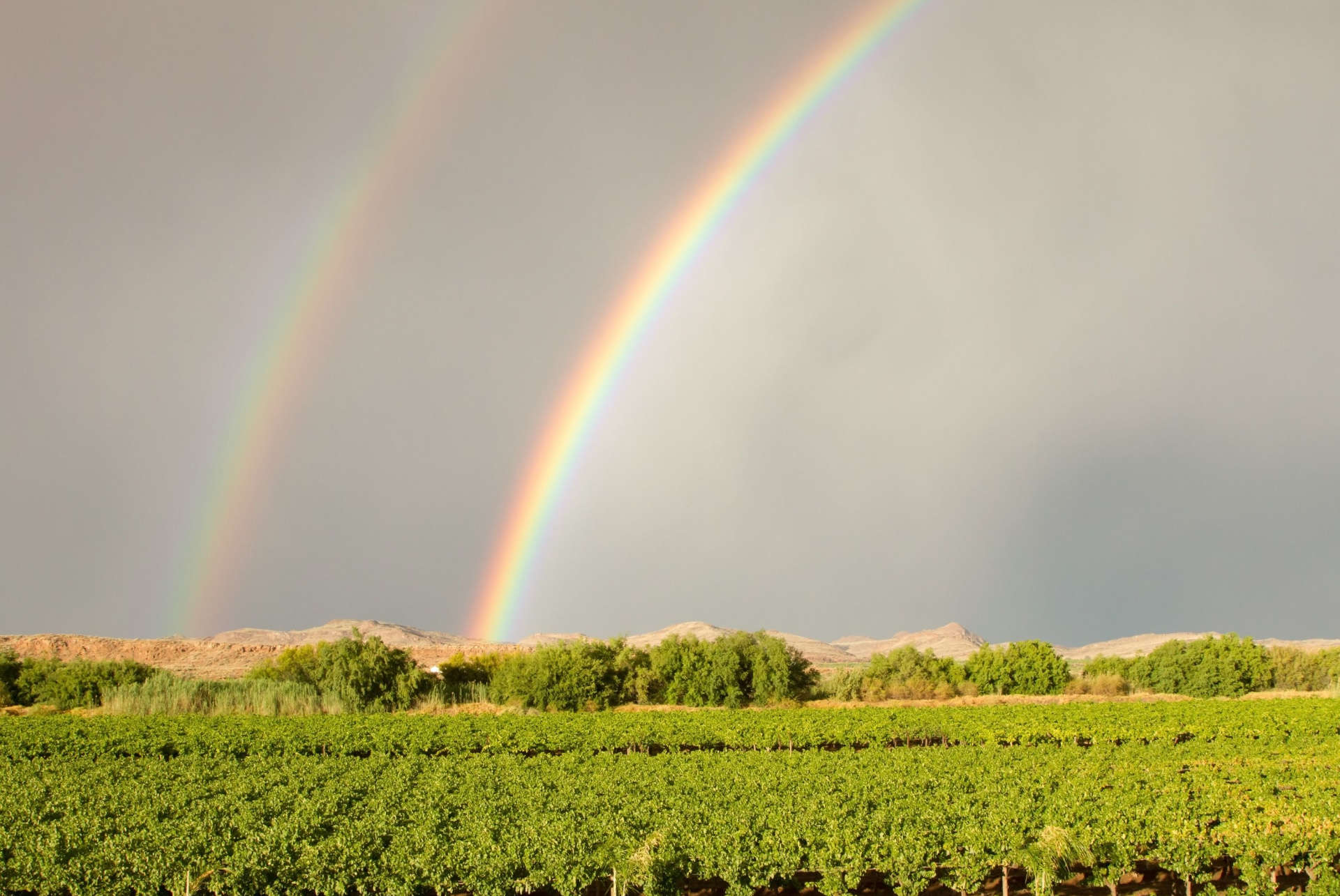 sud du cap arc en ciel