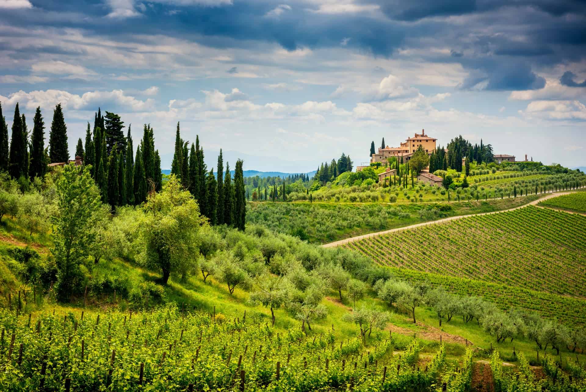 vignoble toscane en 7 jours