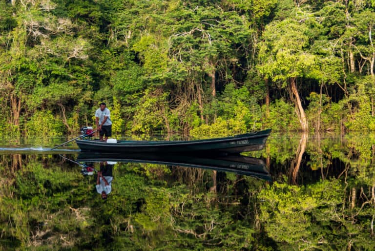 Pêche au piranha et observation des alligators en soirée