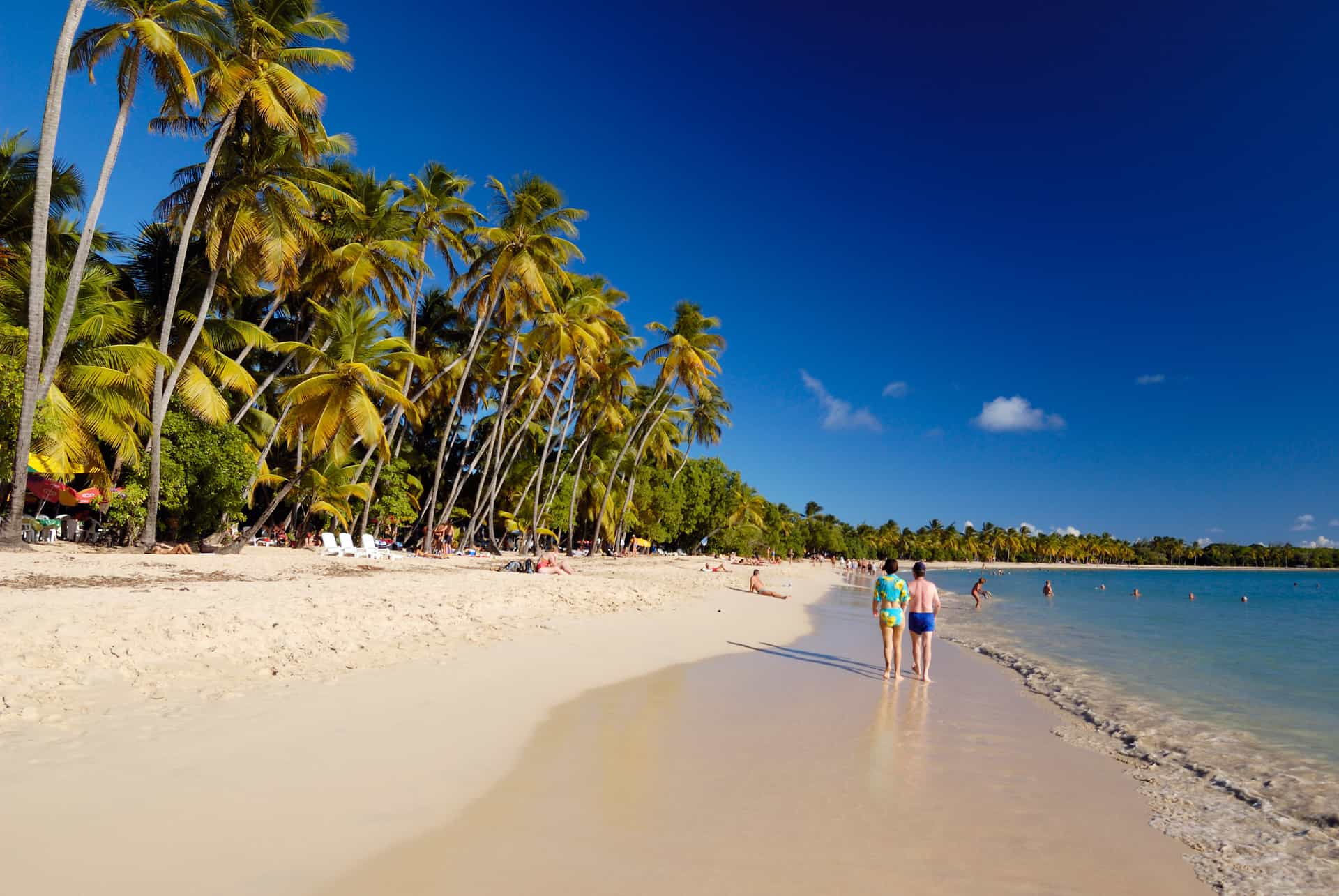 affluence touristique en martinique