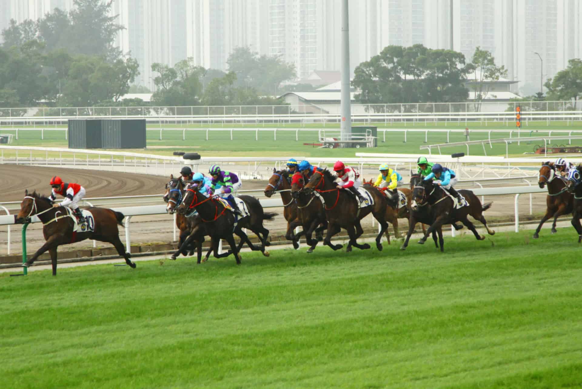 courses hippiques sha tin