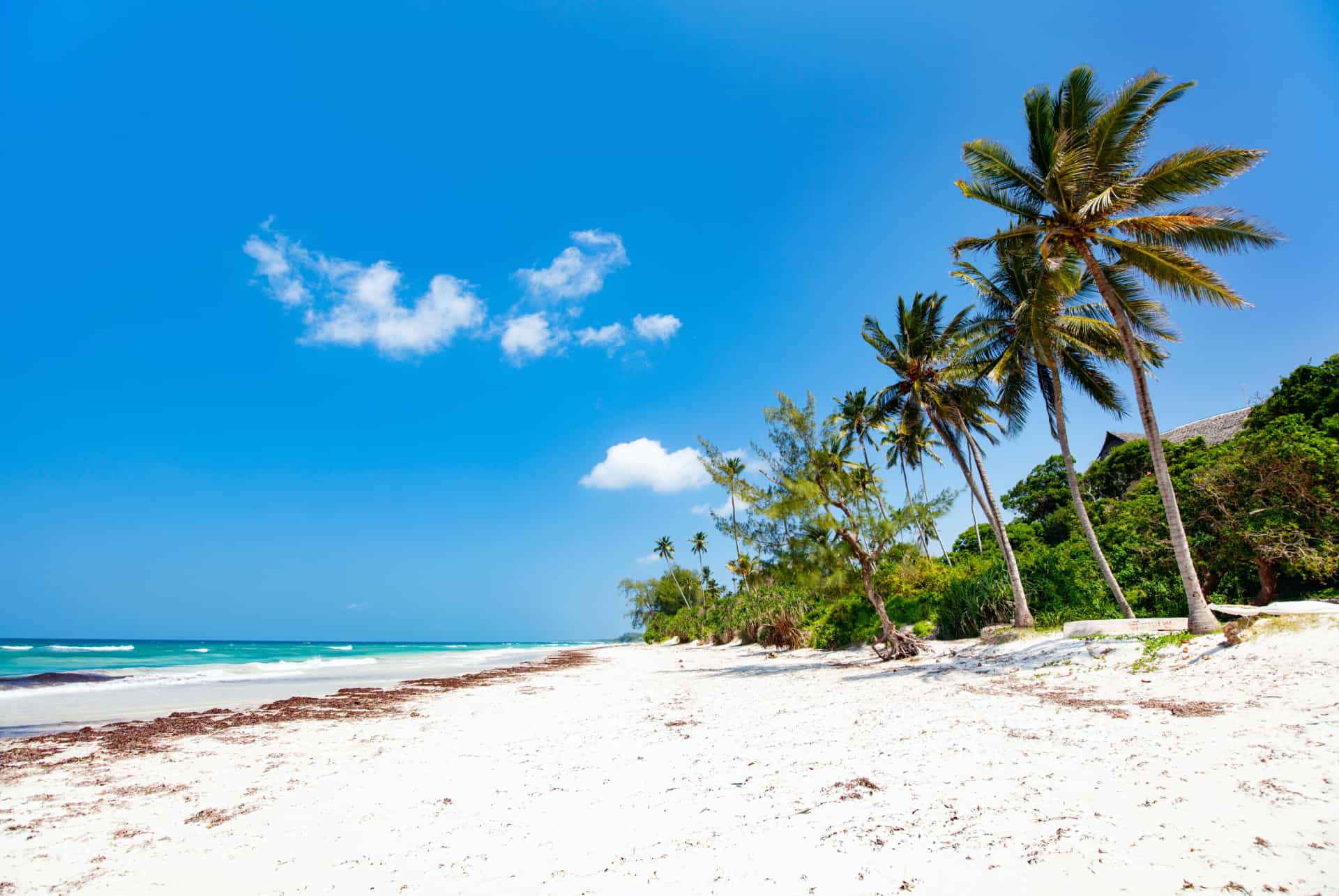 quand partir au kenya plage