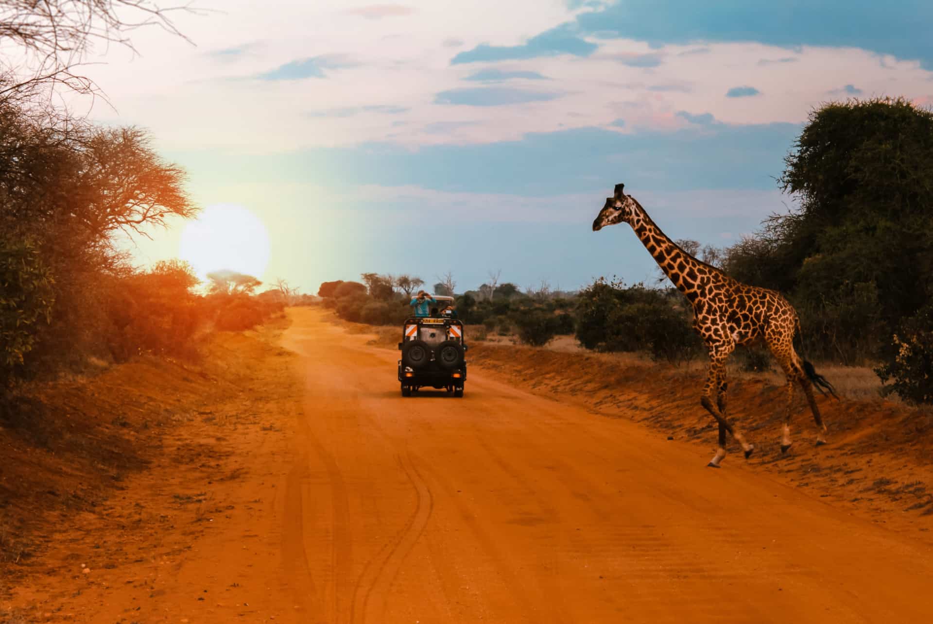 quand partir au kenya safari