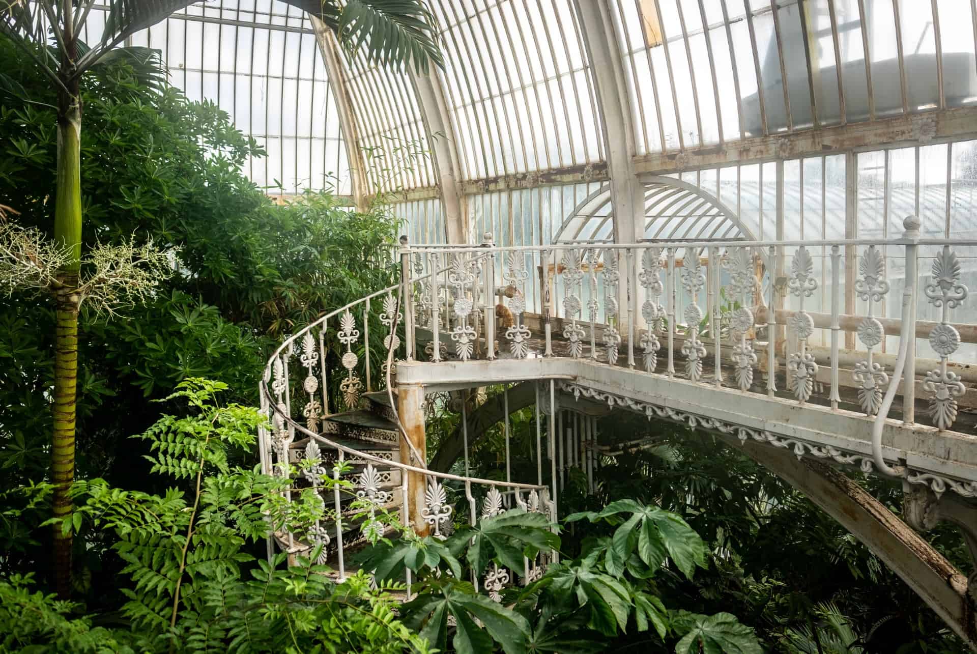 kew gardens jardin botanique