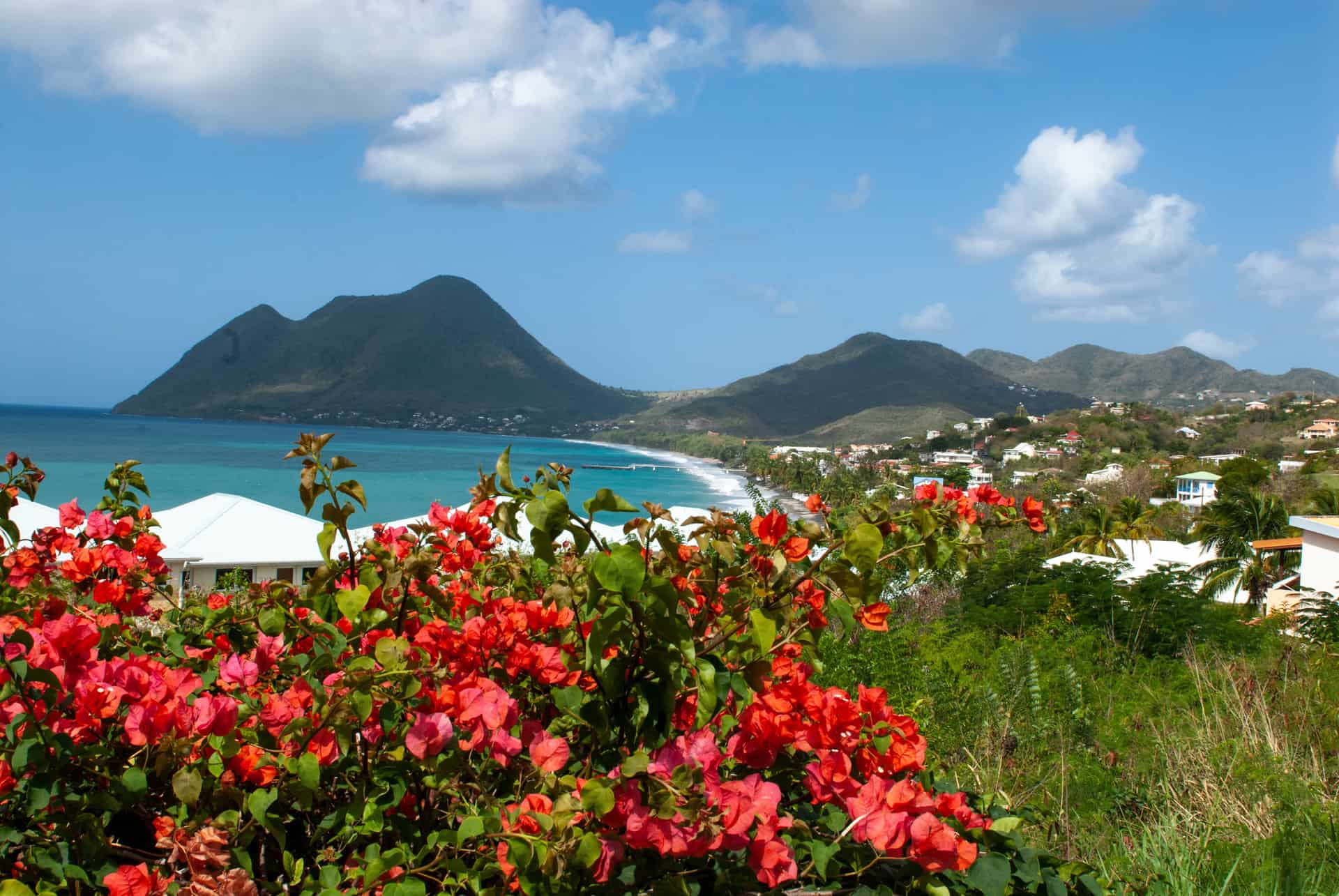 martinique ile aux fleurs