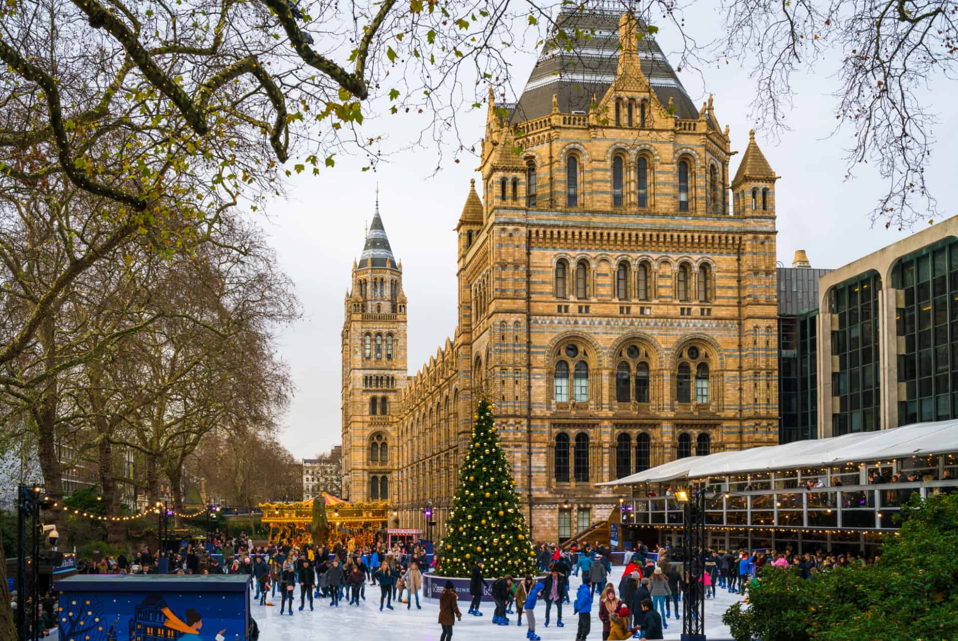 national history museum londres janvier patinoire