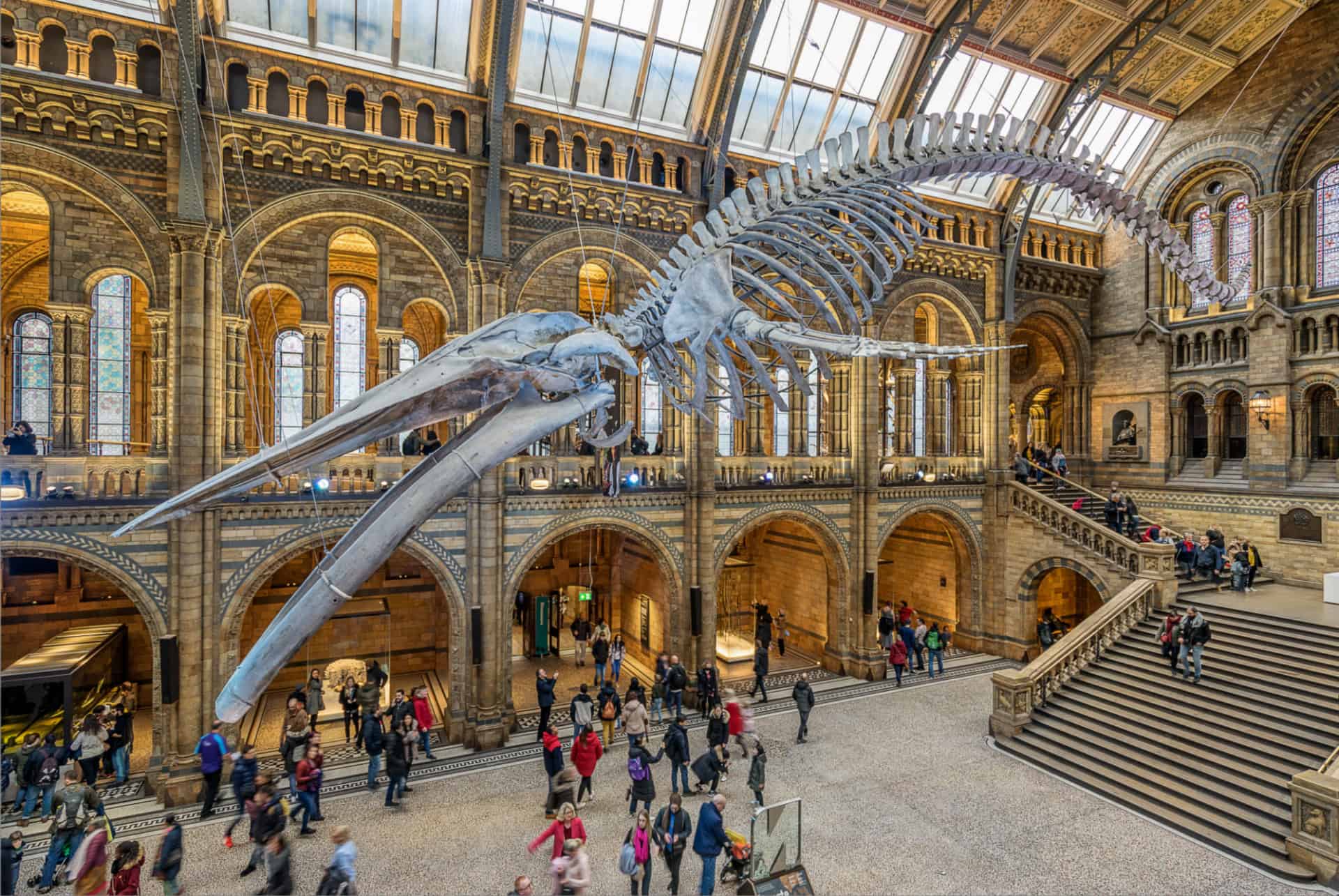 natural history museum london