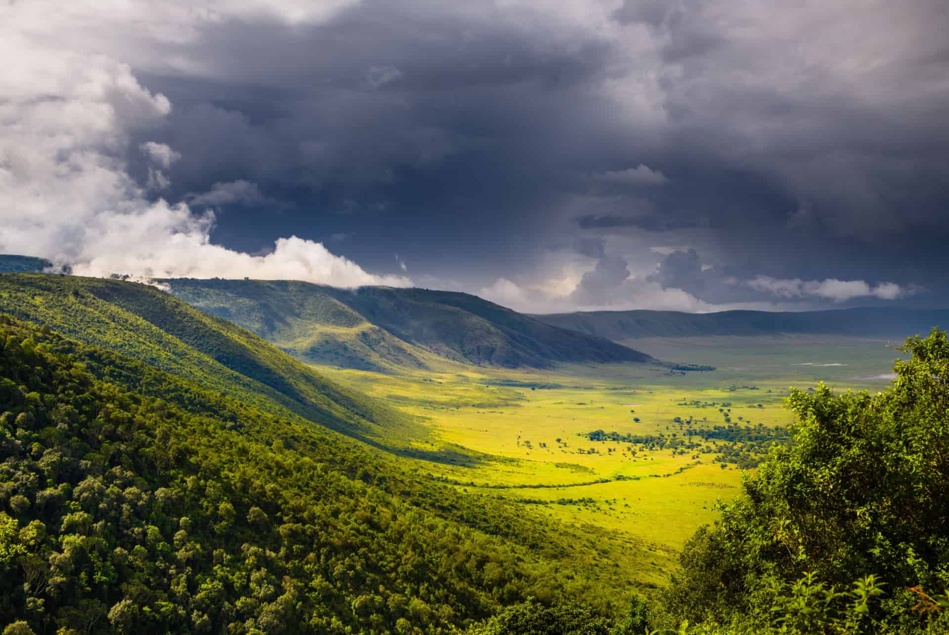 ngorongoro cratere