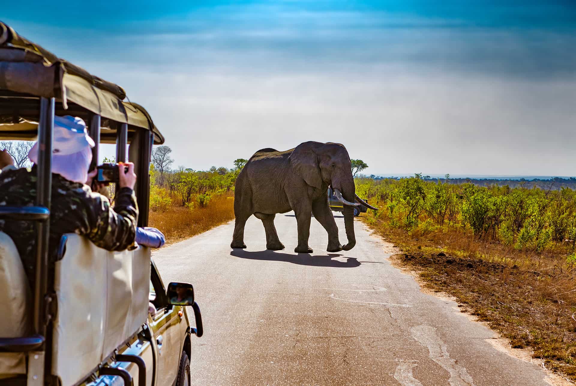 prix voyage afrique du sud safari