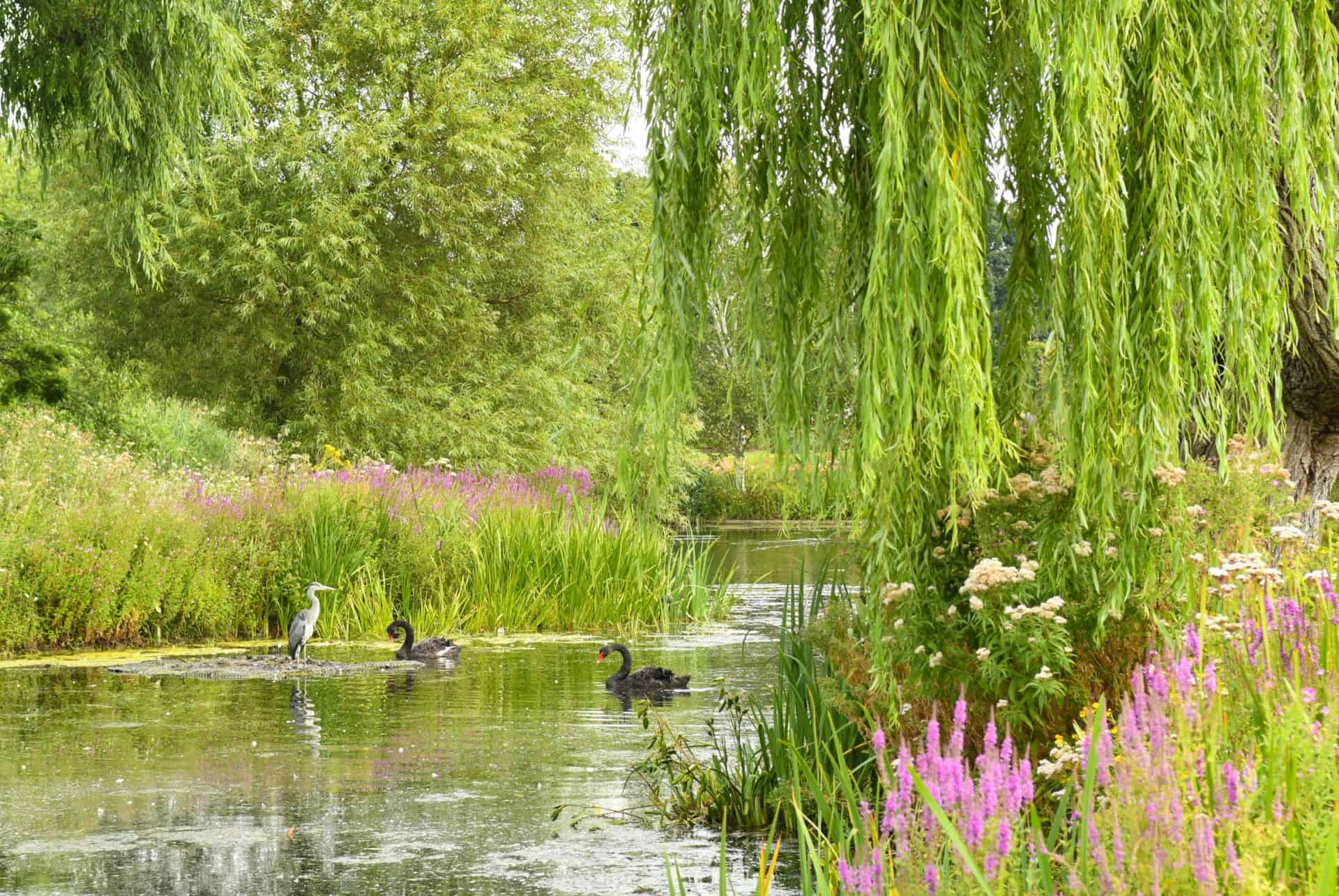 regents park etang visiter londres en 4 jours