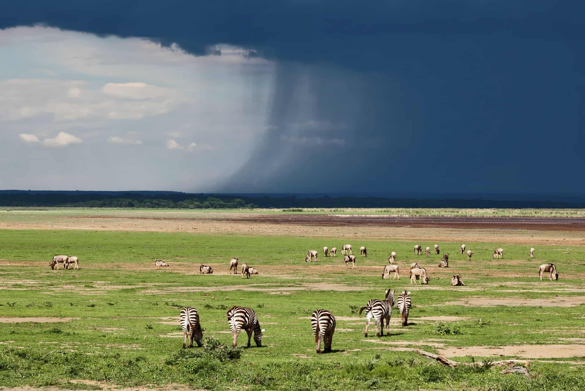 saison des pluies tanzanie