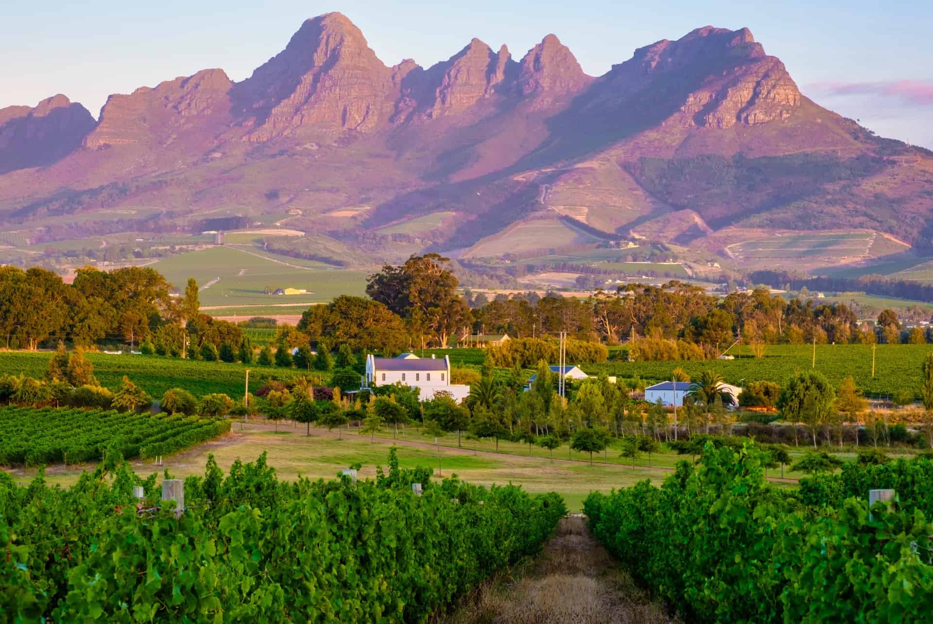 stellenbosch  road trip afrique du sud