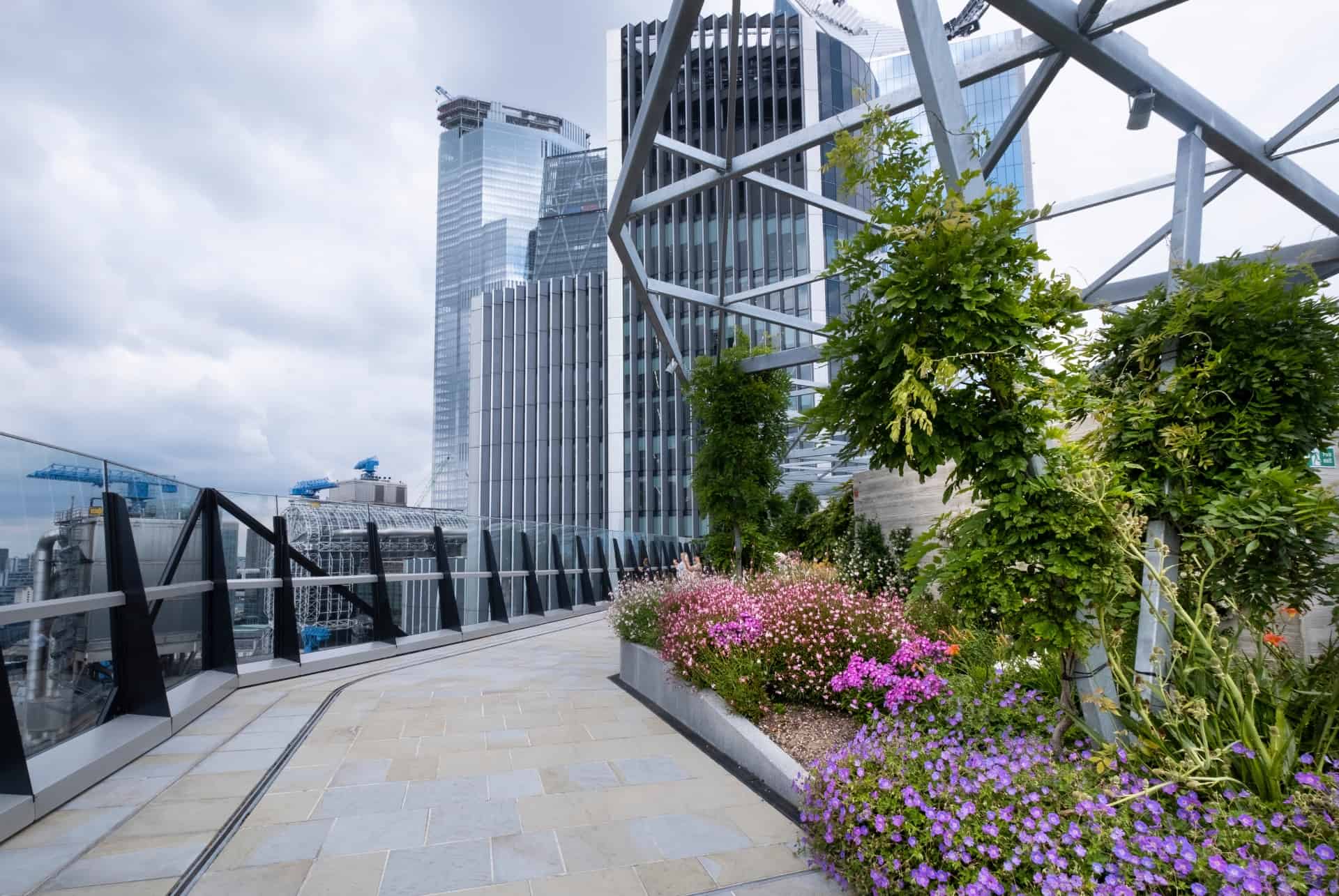 terrasse panoramique