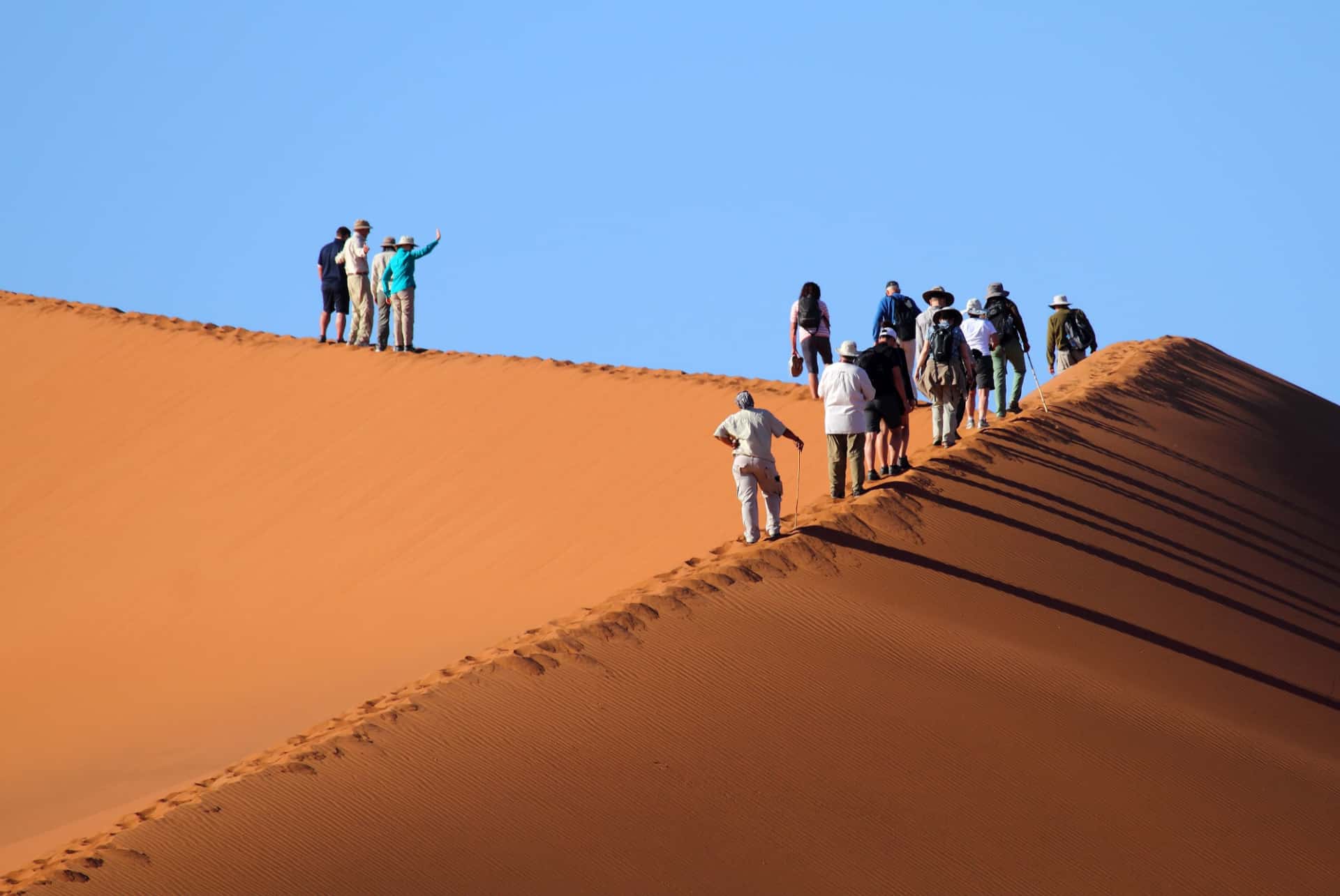 touristes quand partir namibie