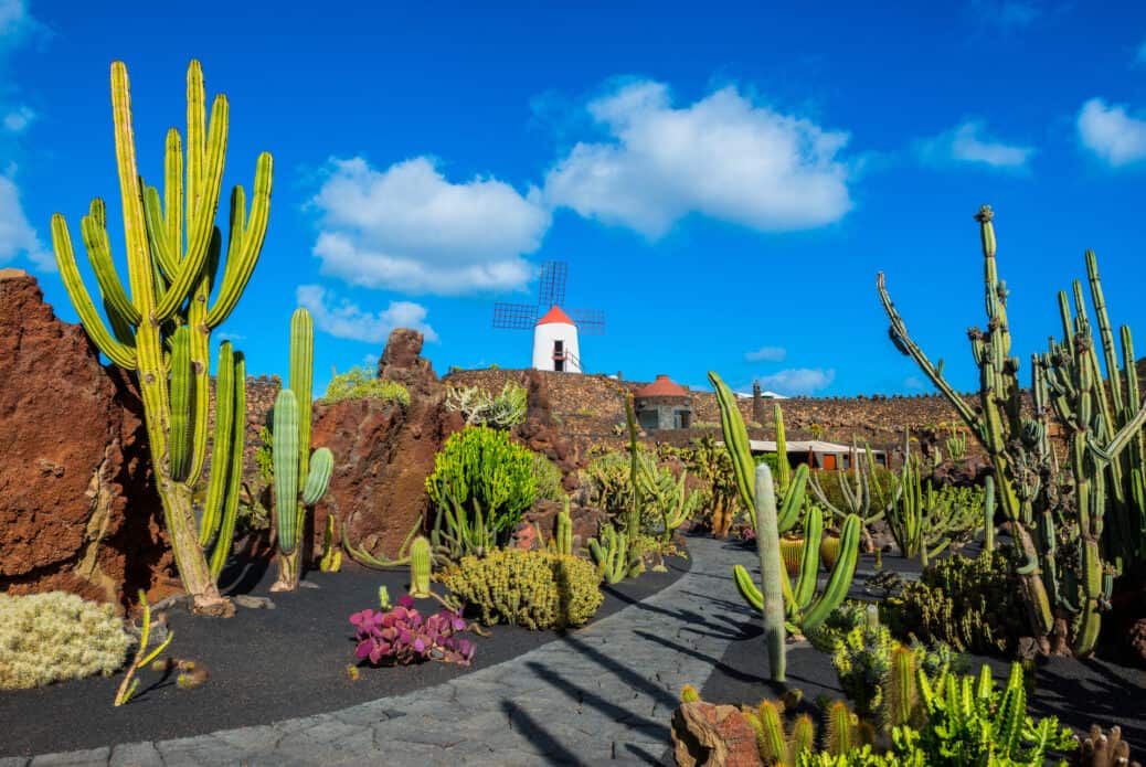 activites lanzarote